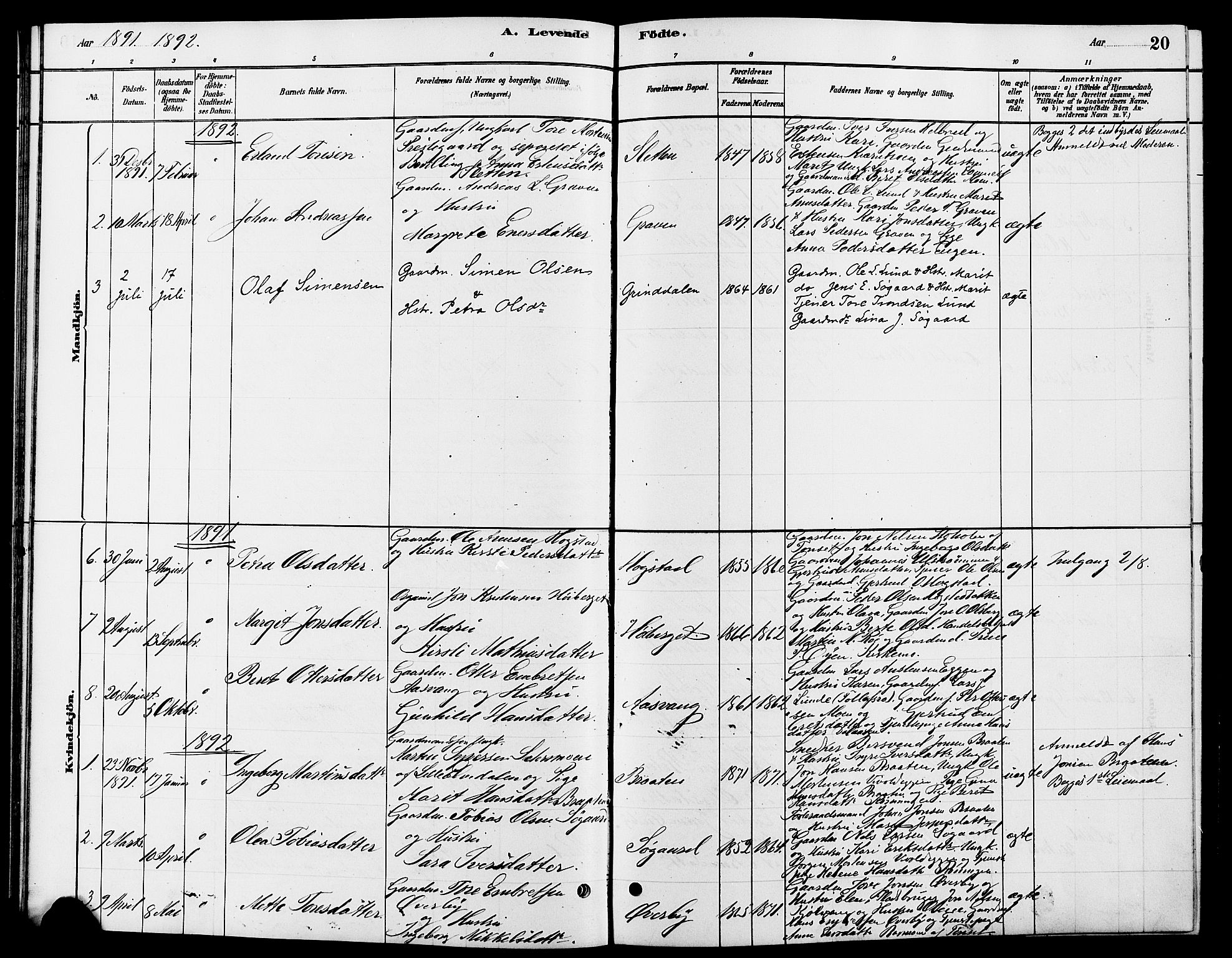 Tynset prestekontor, AV/SAH-PREST-058/H/Ha/Hab/L0007: Parish register (copy) no. 7, 1880-1901, p. 20