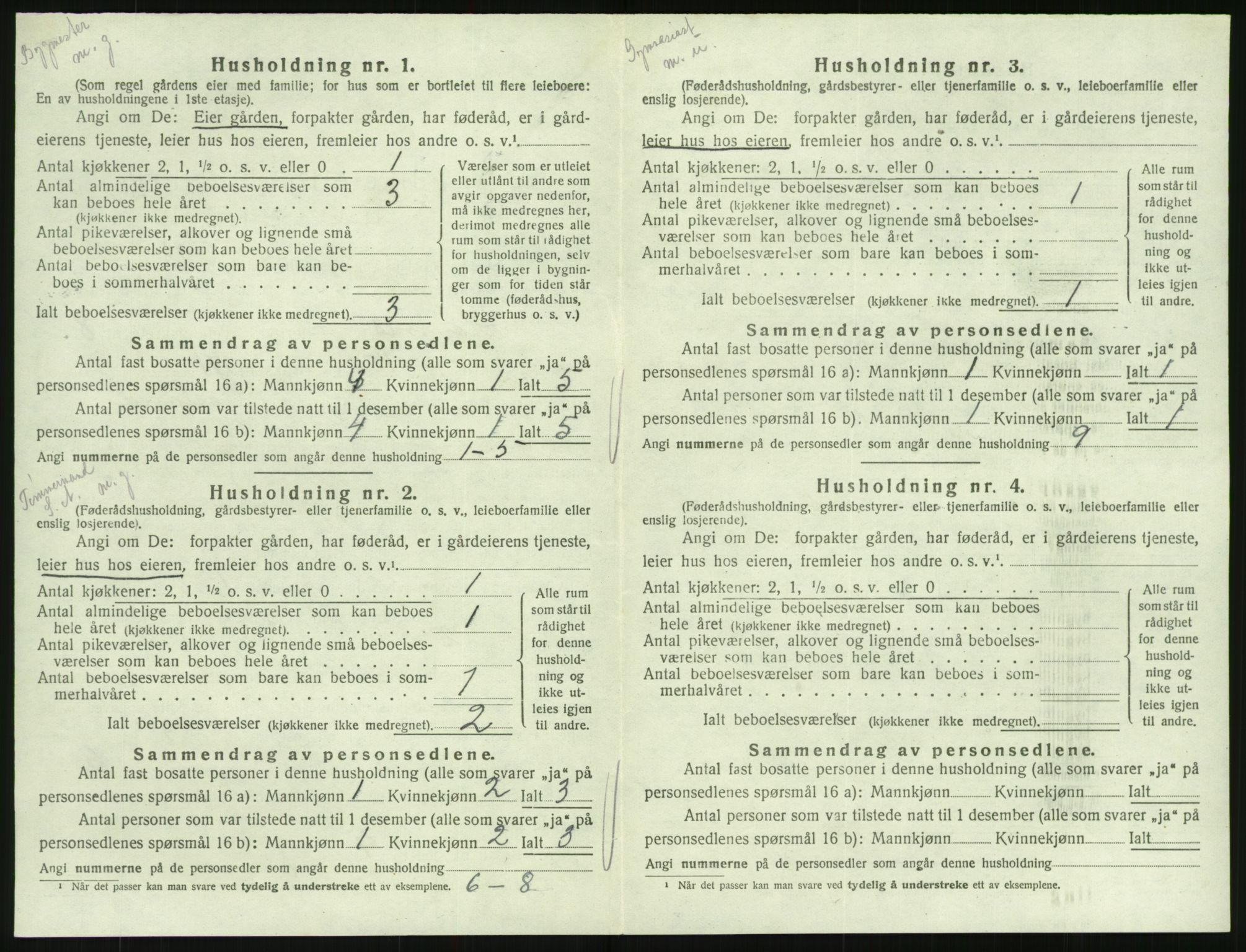 SAK, 1920 census for Hornnes, 1920, p. 340