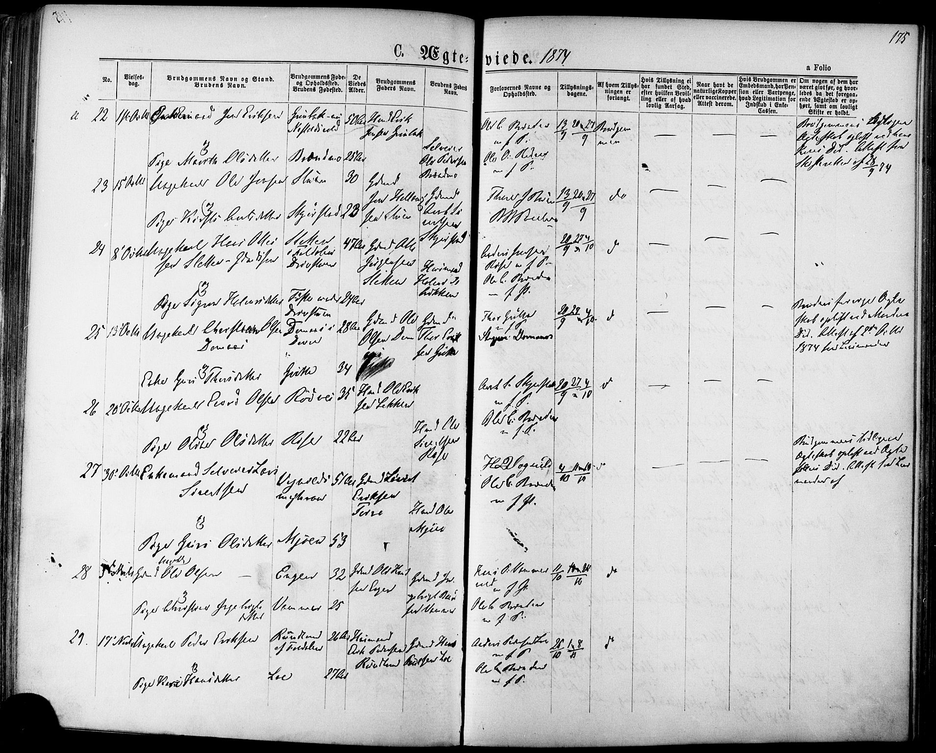 Ministerialprotokoller, klokkerbøker og fødselsregistre - Sør-Trøndelag, SAT/A-1456/678/L0900: Parish register (official) no. 678A09, 1872-1881, p. 175