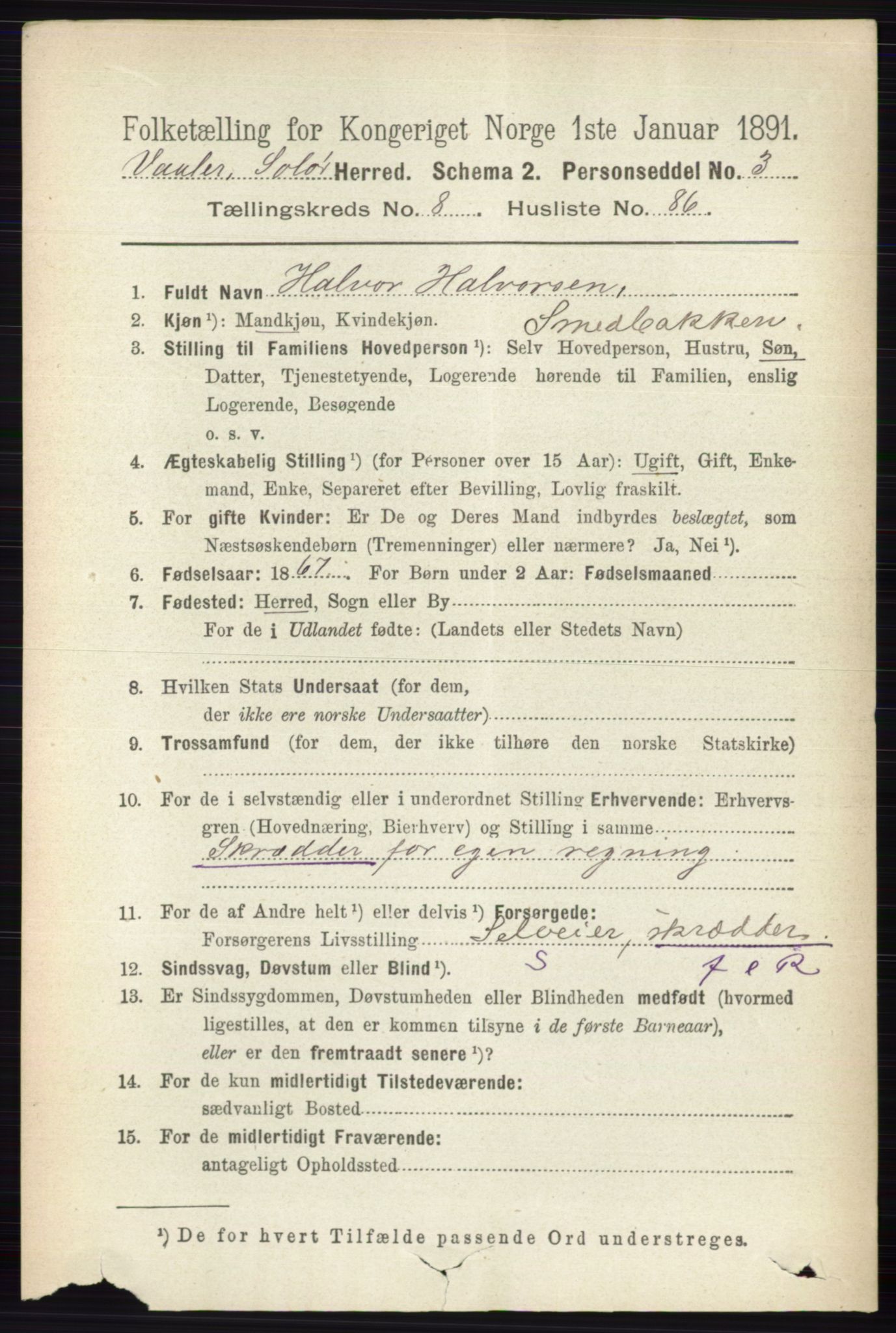 RA, 1891 census for 0426 Våler, 1891, p. 3807