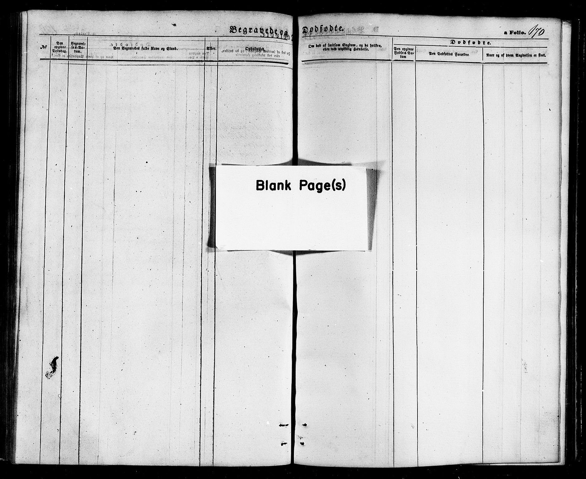 Ministerialprotokoller, klokkerbøker og fødselsregistre - Nordland, AV/SAT-A-1459/803/L0075: Parish register (copy) no. 803C02, 1867-1881, p. 170