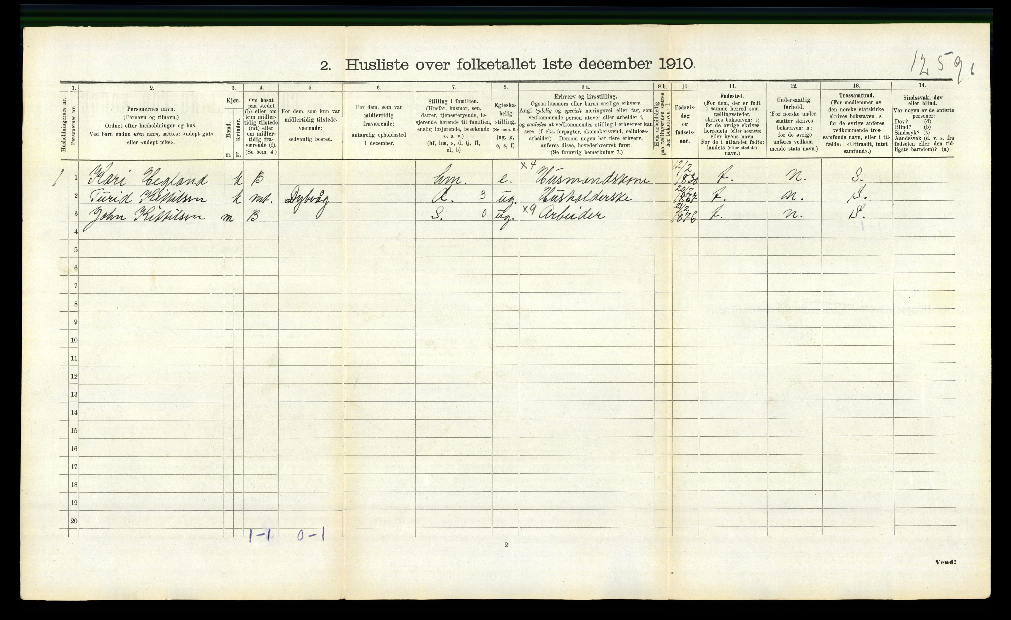 RA, 1910 census for Nissedal, 1910, p. 221