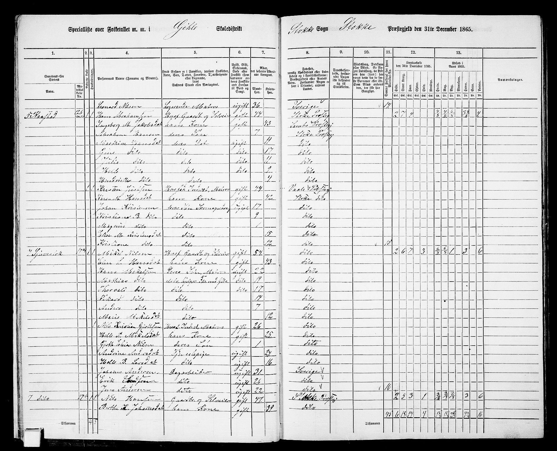 RA, 1865 census for Stokke, 1865, p. 19