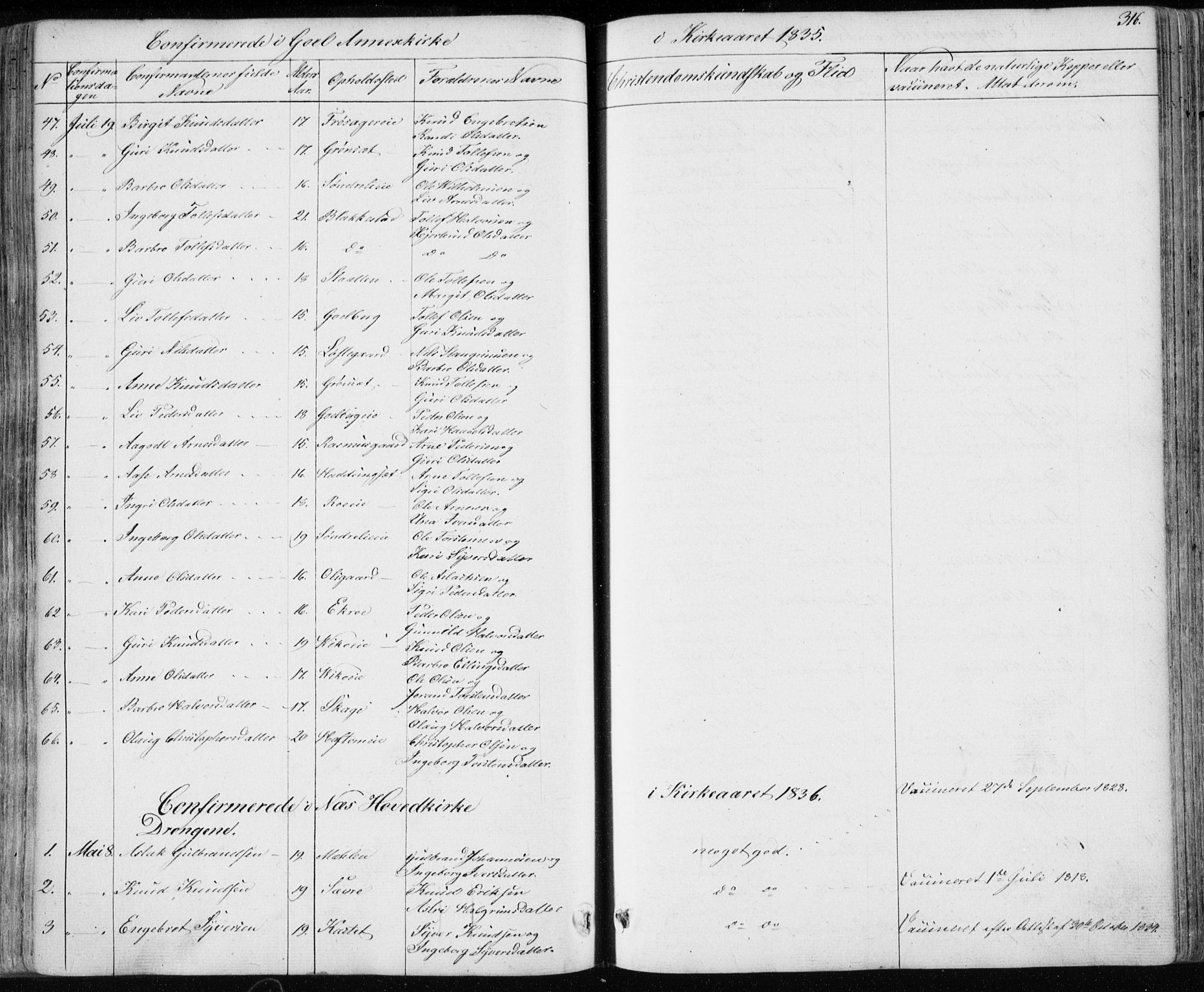 Nes kirkebøker, SAKO/A-236/F/Fa/L0009: Parish register (official) no. 9, 1834-1863, p. 316