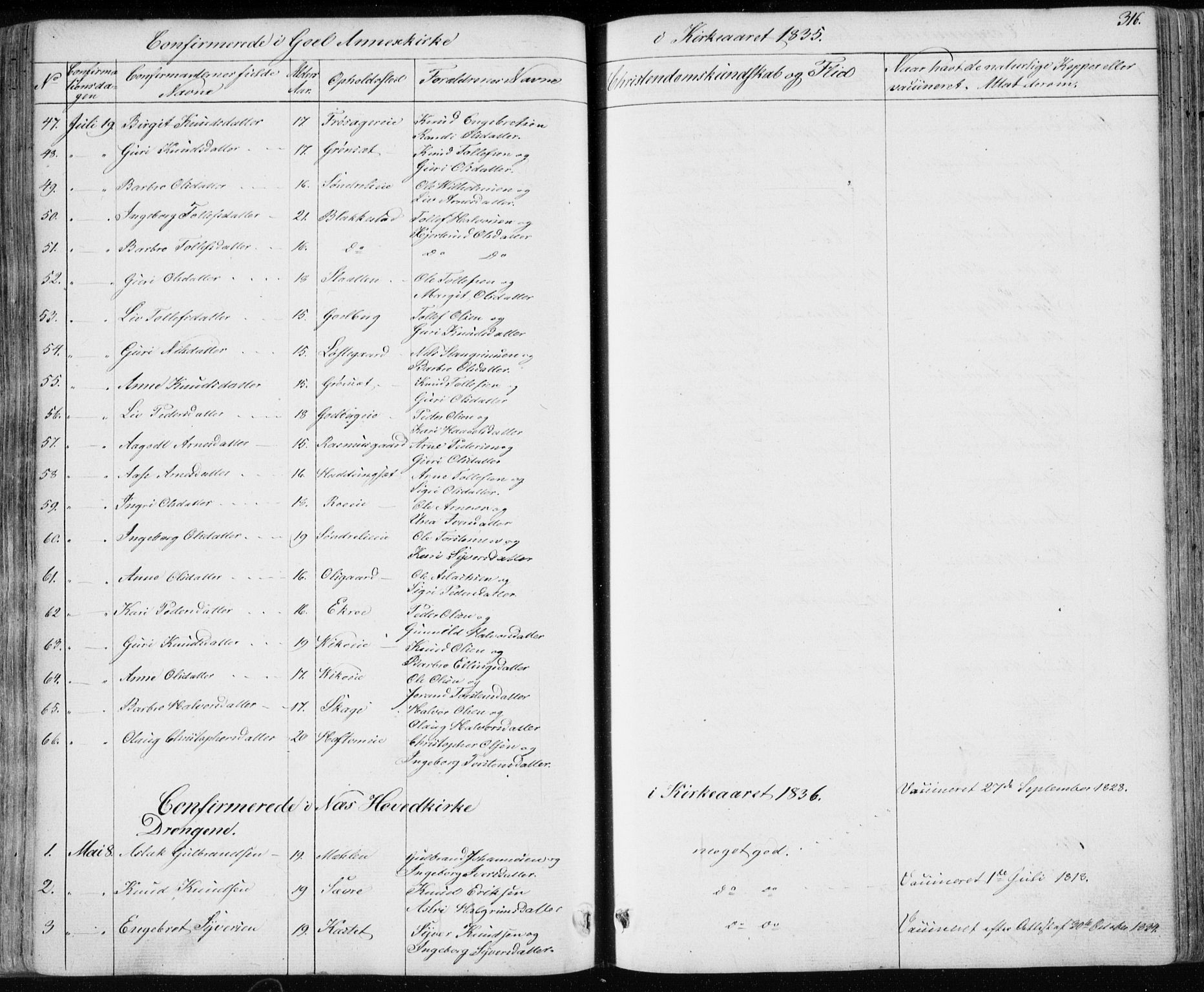 Nes kirkebøker, AV/SAKO-A-236/F/Fa/L0009: Parish register (official) no. 9, 1834-1863, p. 316