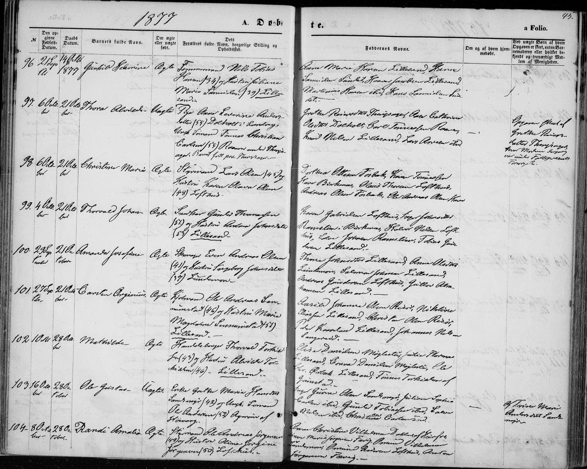 Vestre Moland sokneprestkontor, AV/SAK-1111-0046/F/Fa/Fab/L0008: Parish register (official) no. A 8, 1873-1883, p. 45