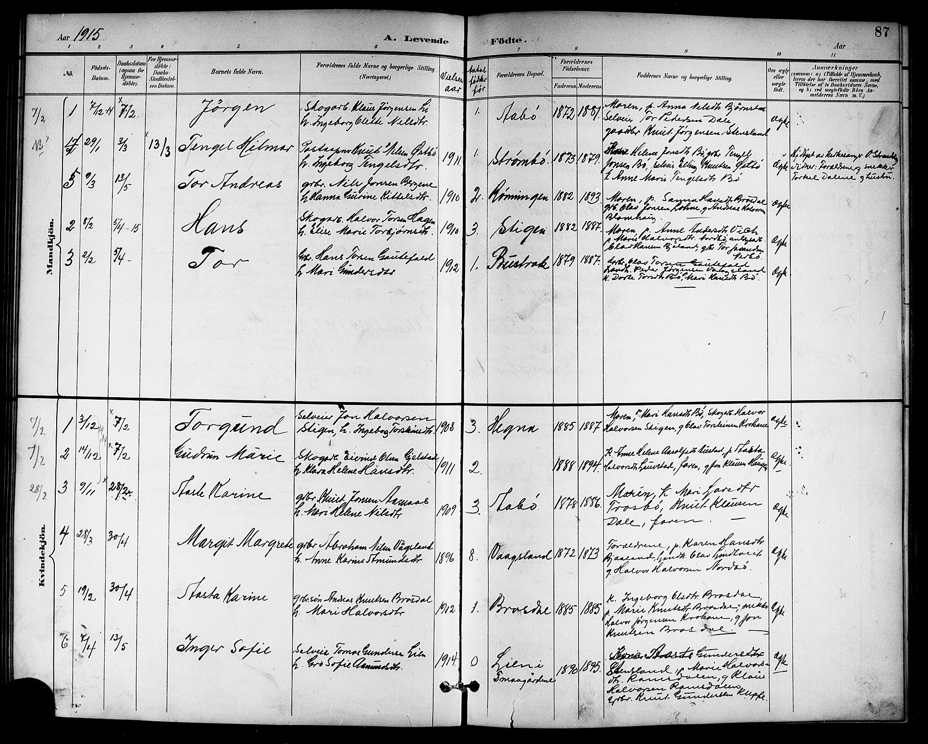 Drangedal kirkebøker, SAKO/A-258/G/Gb/L0002: Parish register (copy) no. II 2, 1895-1918, p. 87