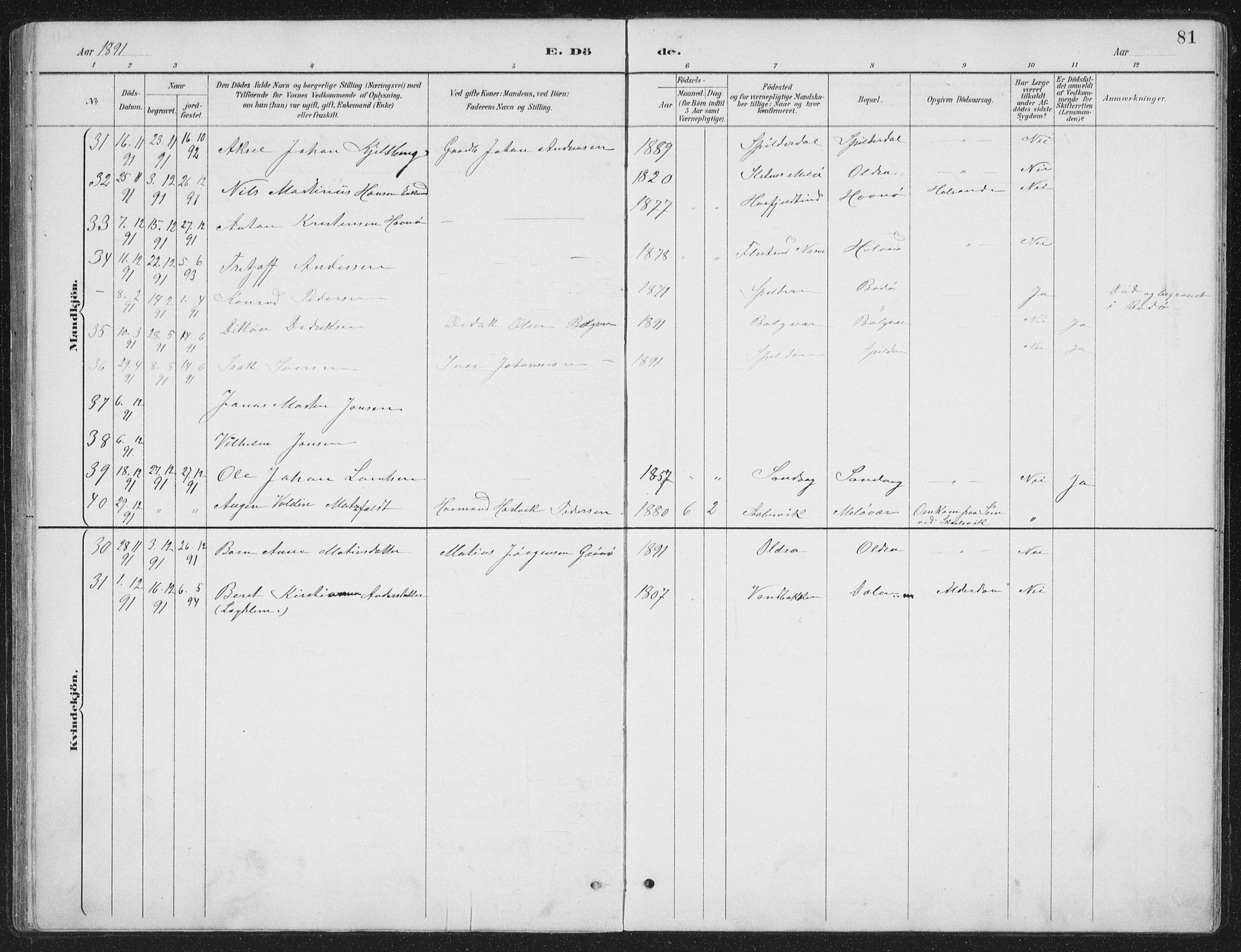 Ministerialprotokoller, klokkerbøker og fødselsregistre - Nordland, AV/SAT-A-1459/843/L0638: Parish register (copy) no. 843C07, 1888-1907, p. 81