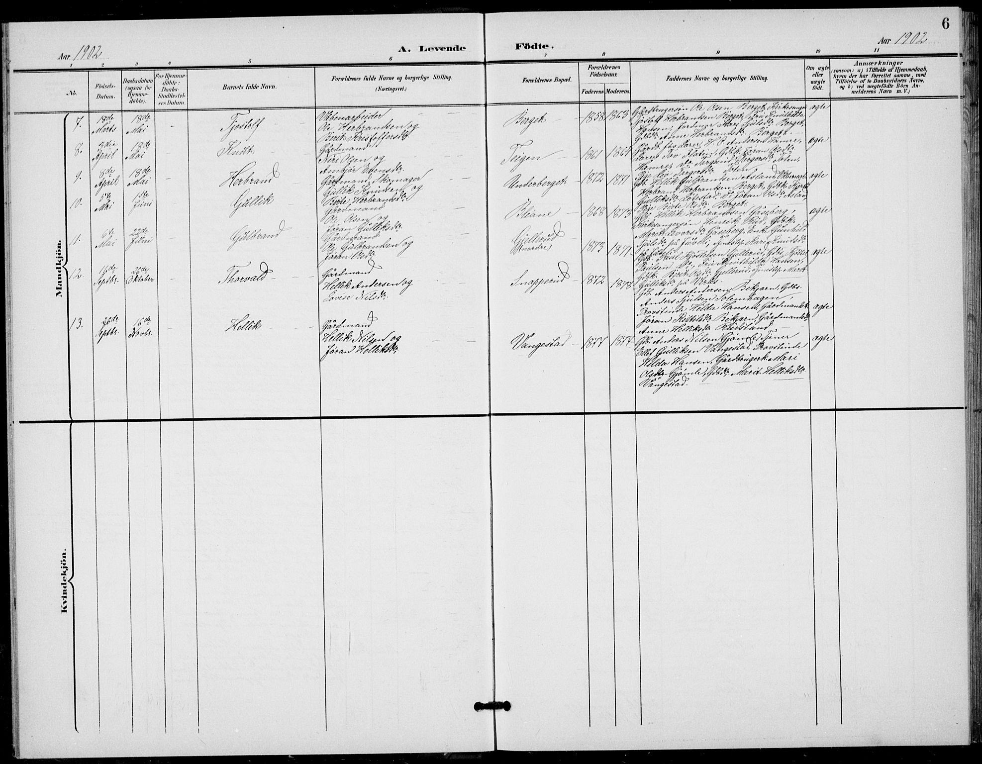 Flesberg kirkebøker, AV/SAKO-A-18/G/Ga/L0005: Parish register (copy) no. I 5, 1899-1908, p. 6