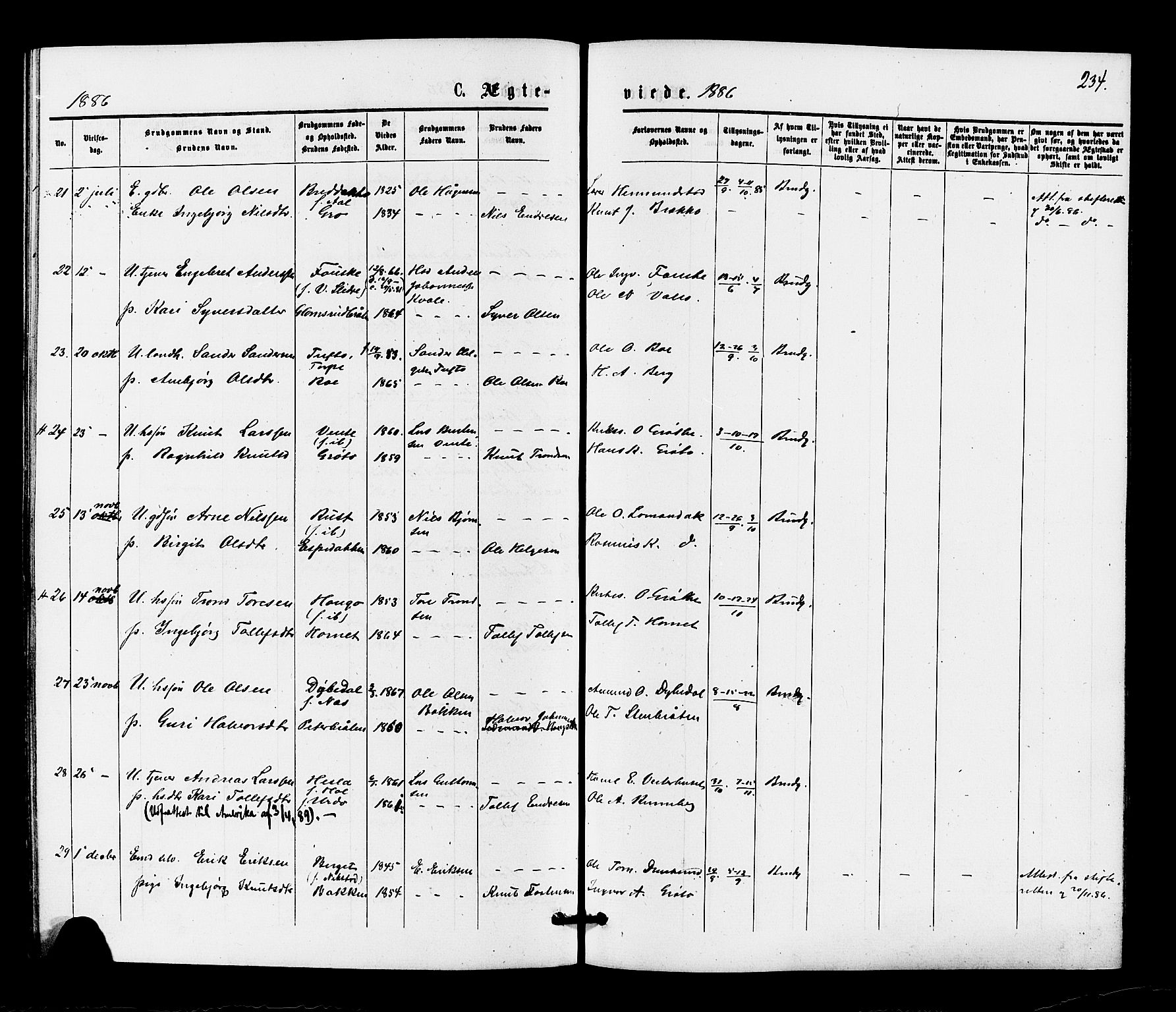 Gol kirkebøker, SAKO/A-226/F/Fa/L0004: Parish register (official) no. I 4, 1876-1886, p. 234