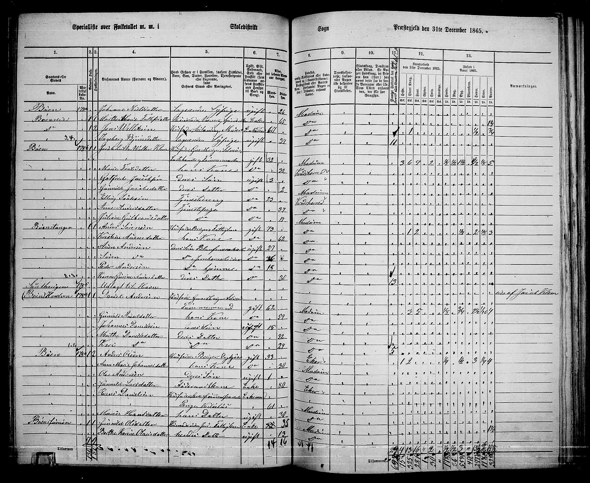 RA, 1865 census for Modum, 1865, p. 210