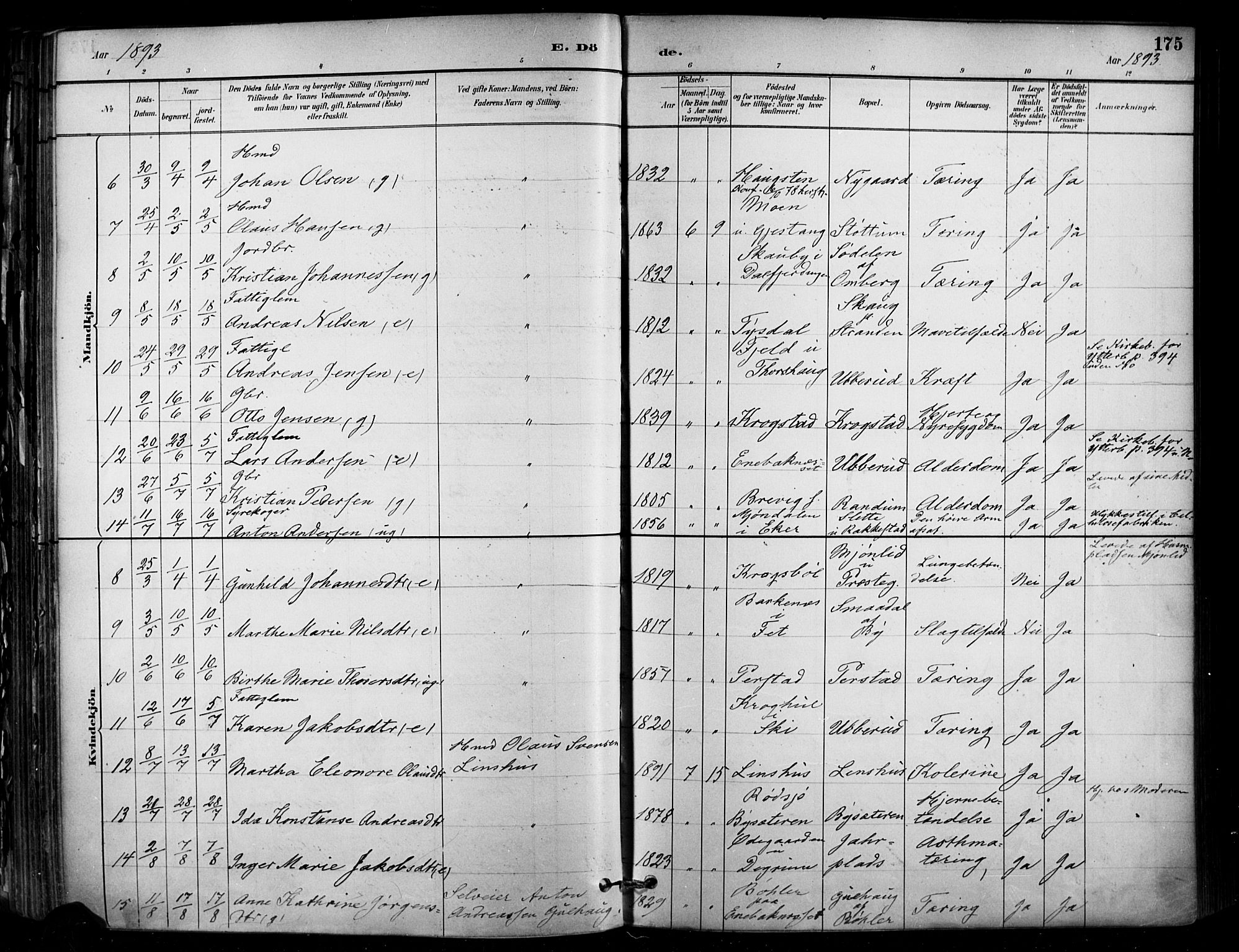 Enebakk prestekontor Kirkebøker, SAO/A-10171c/F/Fa/L0016: Parish register (official) no. I 16, 1883-1898, p. 175
