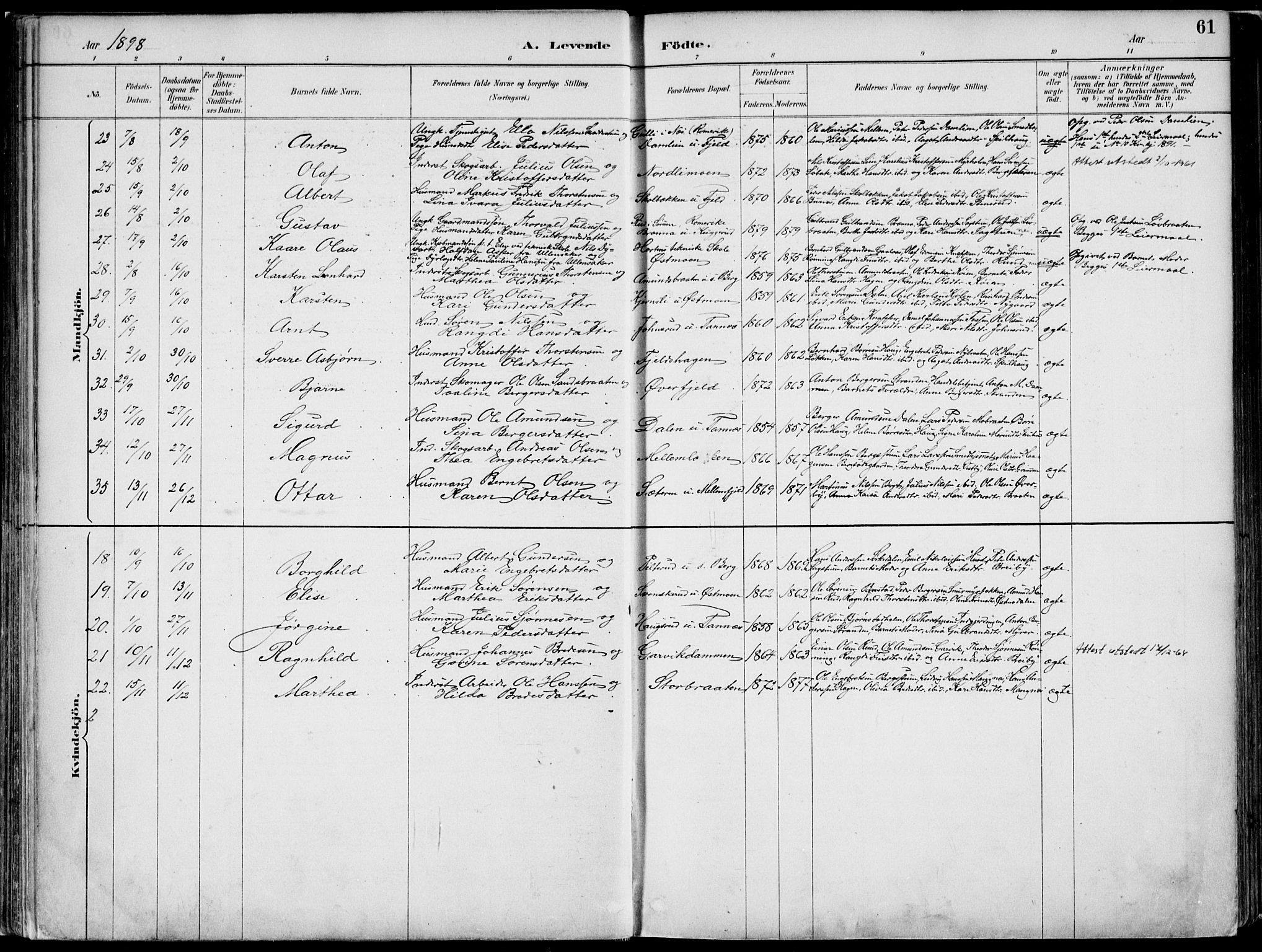 Nord-Odal prestekontor, AV/SAH-PREST-032/H/Ha/Haa/L0008: Parish register (official) no. 8, 1886-1901, p. 61