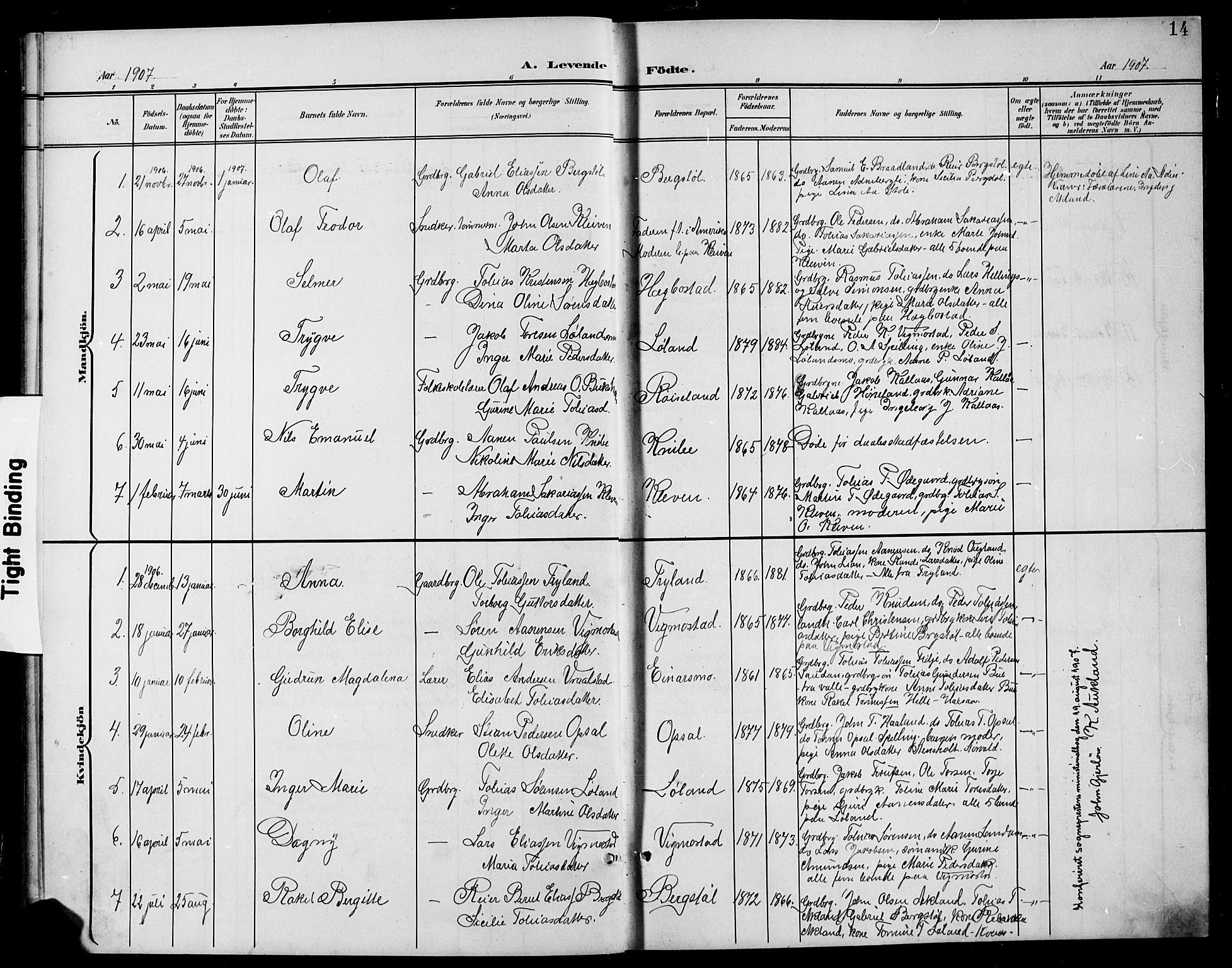 Nord-Audnedal sokneprestkontor, SAK/1111-0032/F/Fb/Fbb/L0004: Parish register (copy) no. B 4, 1901-1917, p. 14
