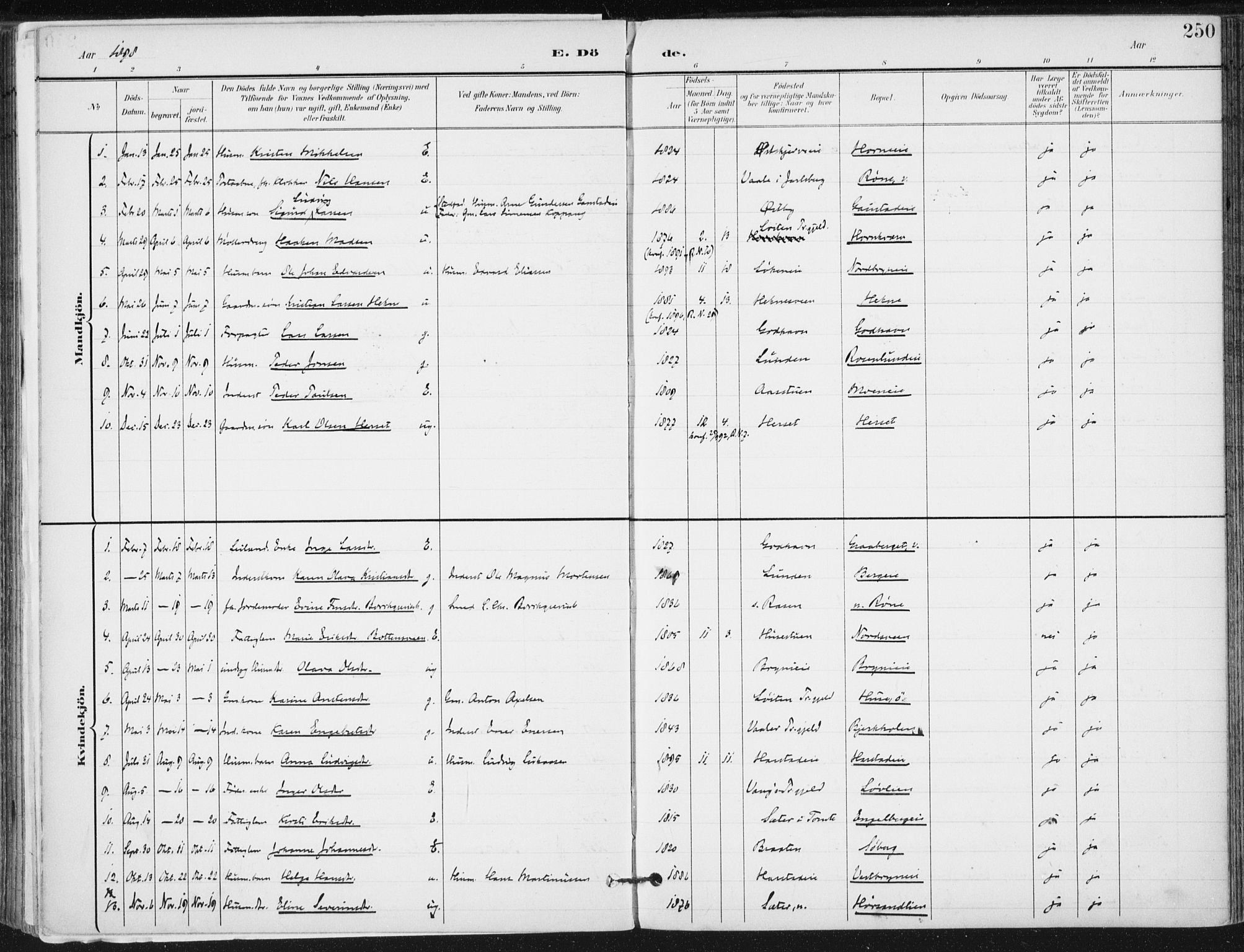 Romedal prestekontor, SAH/PREST-004/K/L0011: Parish register (official) no. 11, 1896-1912, p. 250