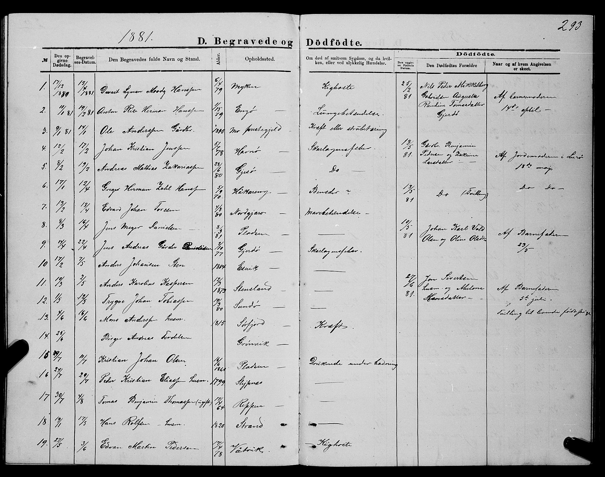 Ministerialprotokoller, klokkerbøker og fødselsregistre - Nordland, AV/SAT-A-1459/841/L0620: Parish register (copy) no. 841C04, 1877-1896, p. 293