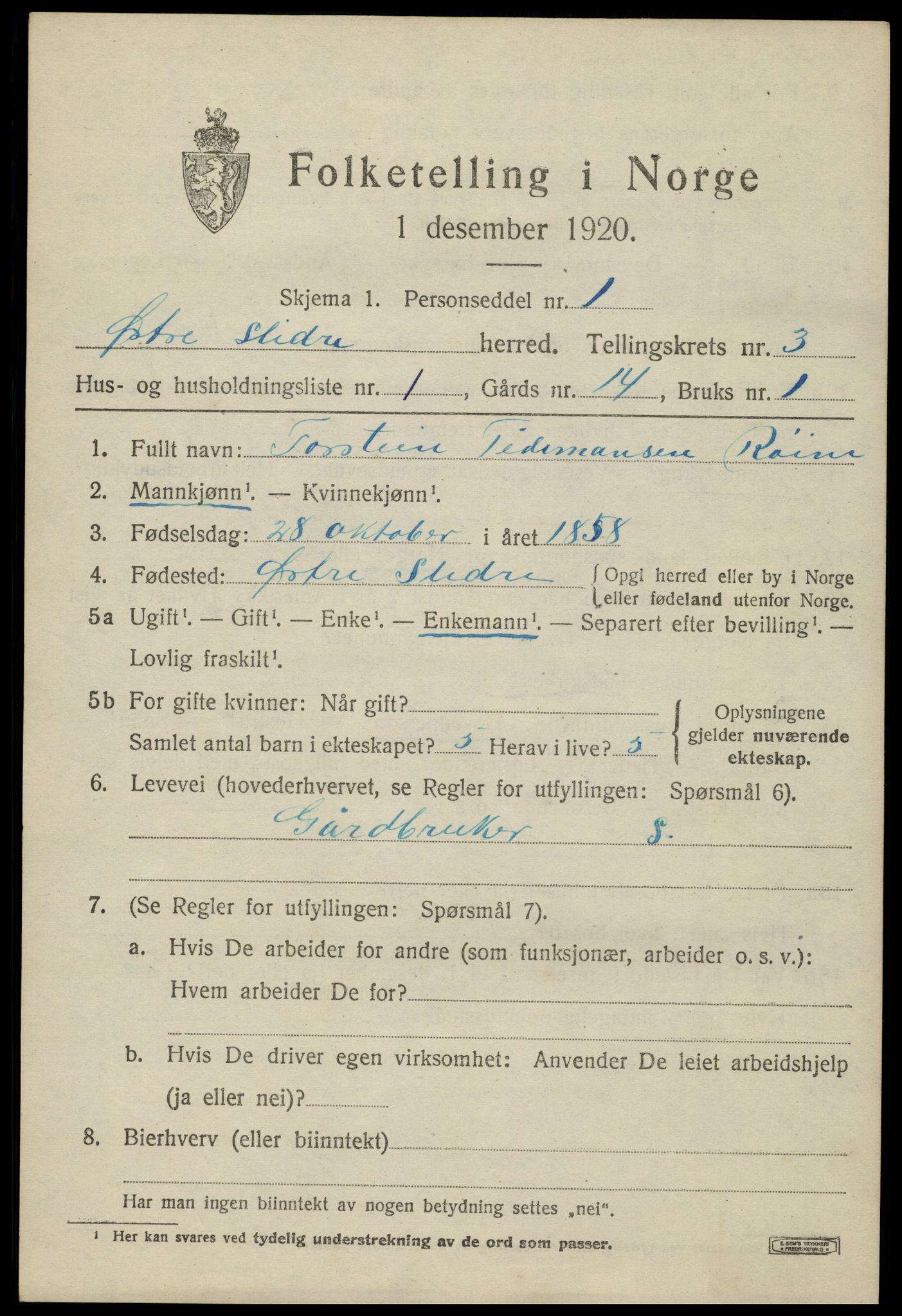 SAH, 1920 census for Øystre Slidre, 1920, p. 2173