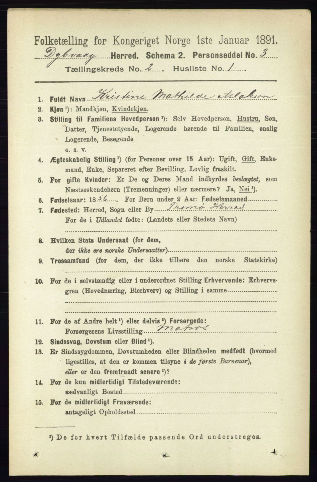 RA, 1891 census for 0915 Dypvåg, 1891, p. 516