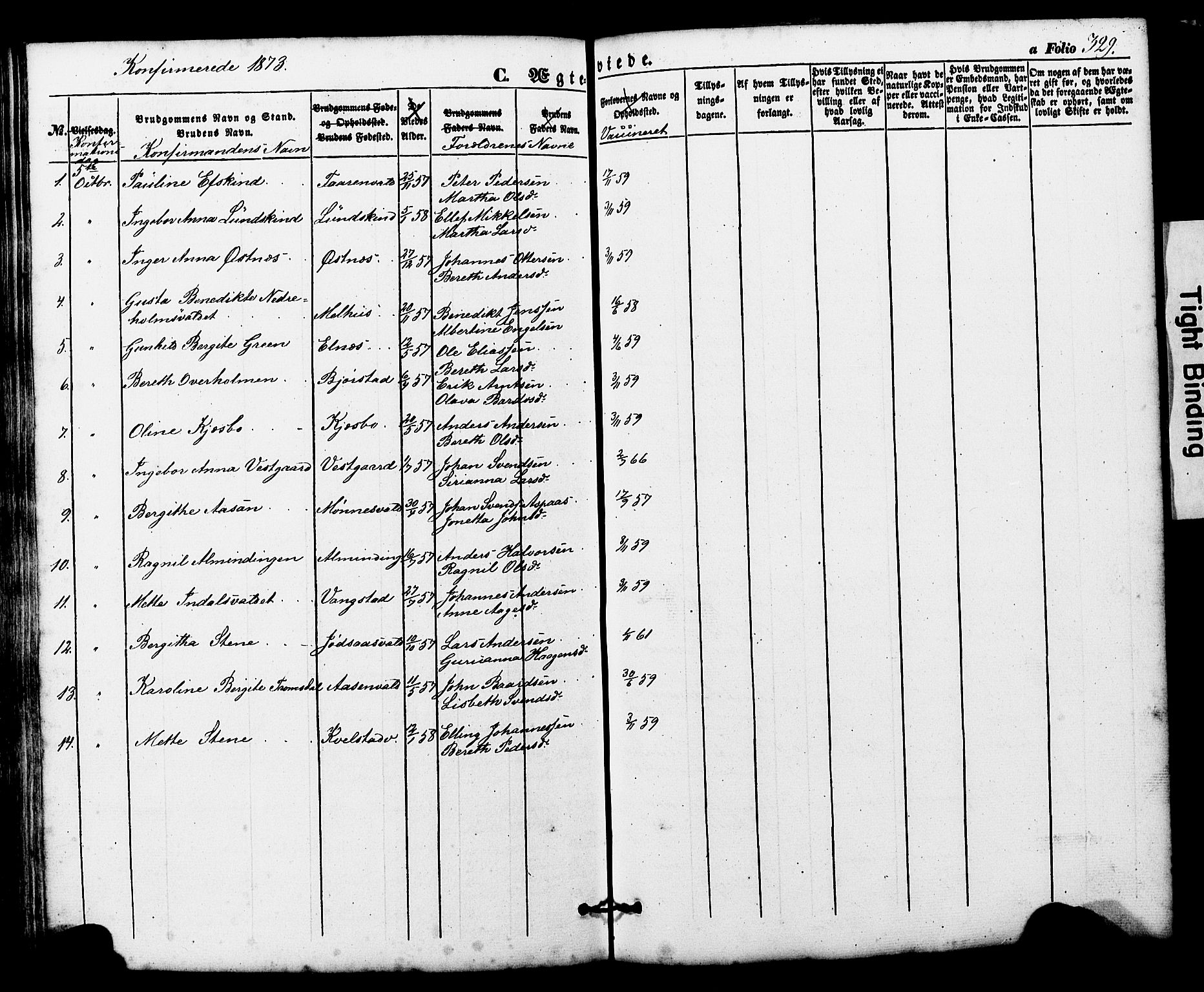 Ministerialprotokoller, klokkerbøker og fødselsregistre - Nord-Trøndelag, AV/SAT-A-1458/724/L0268: Parish register (copy) no. 724C04, 1846-1878, p. 329