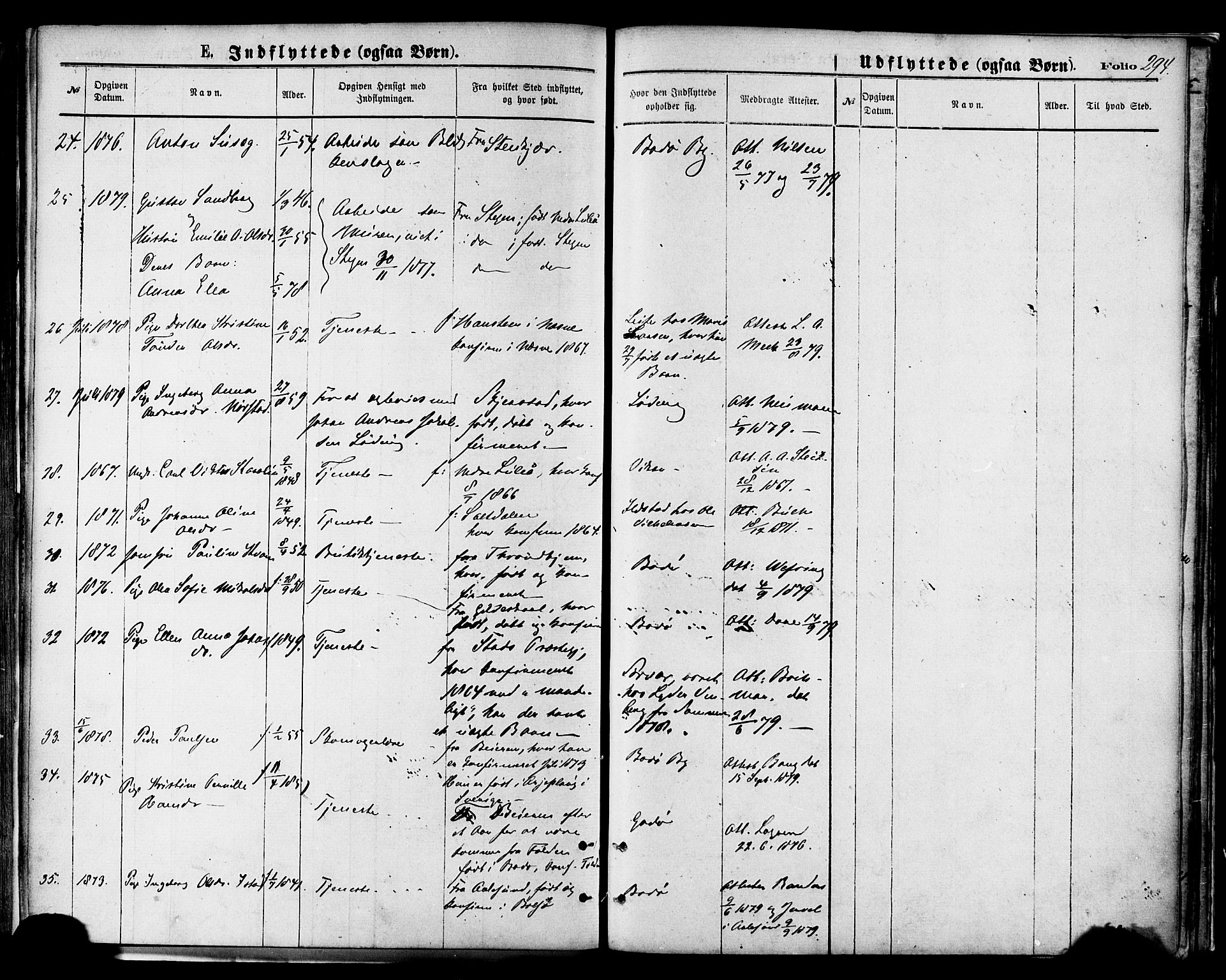 Ministerialprotokoller, klokkerbøker og fødselsregistre - Nordland, AV/SAT-A-1459/801/L0009: Parish register (official) no. 801A09, 1876-1883, p. 294