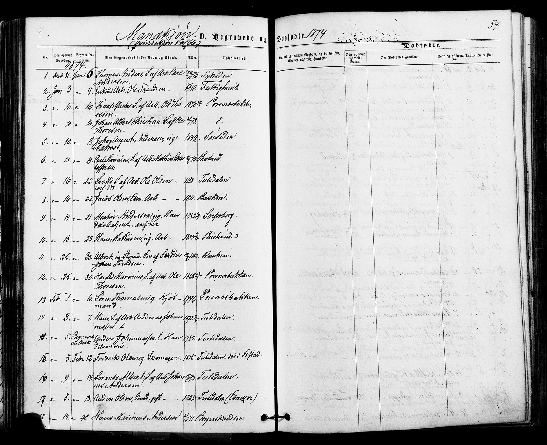 Halden prestekontor Kirkebøker, SAO/A-10909/F/Fa/L0010: Parish register (official) no. I 10, 1866-1877, p. 84