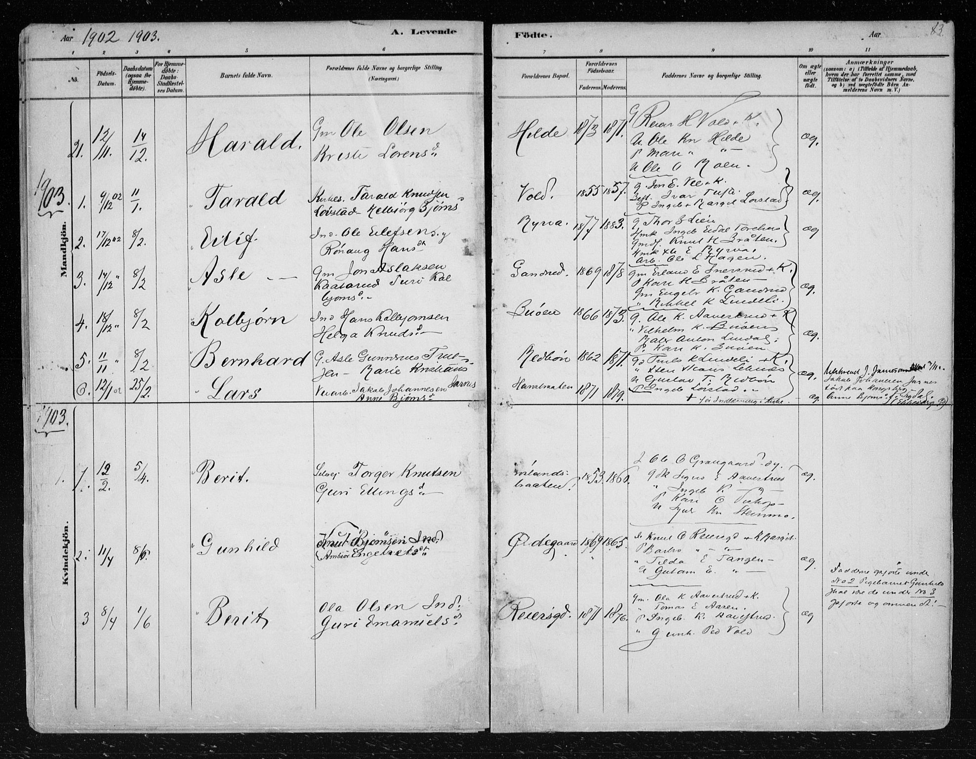 Nes kirkebøker, SAKO/A-236/F/Fa/L0012: Parish register (official) no. 12, 1881-1917, p. 83