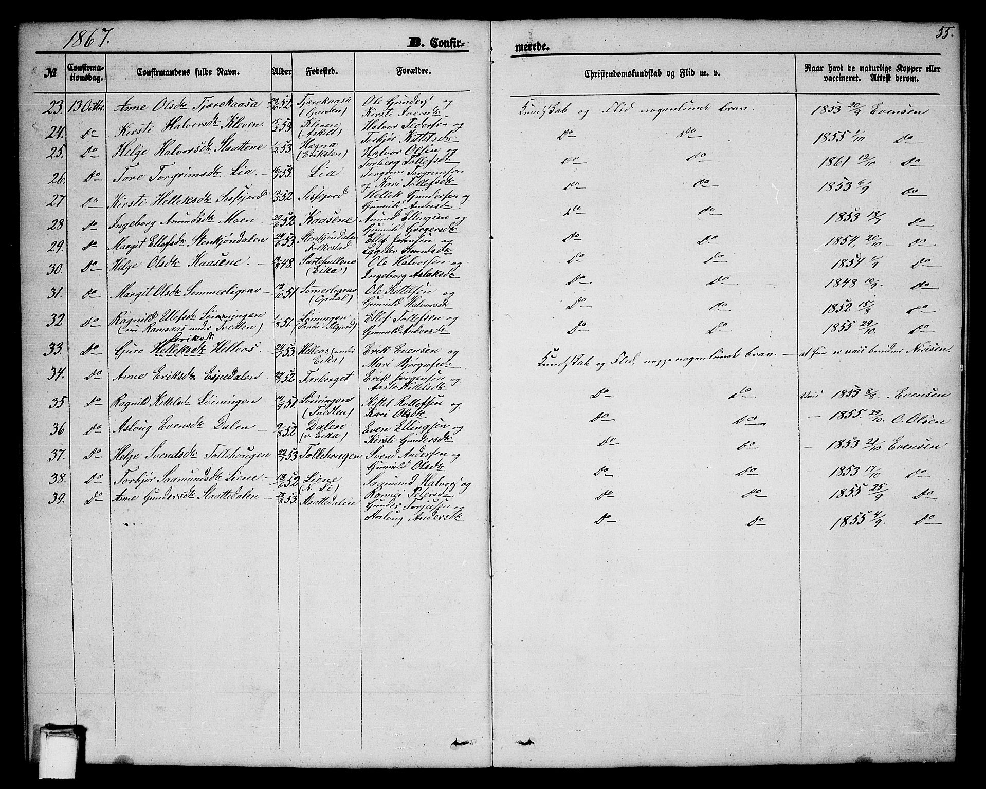 Bø kirkebøker, AV/SAKO-A-257/G/Ga/L0003: Parish register (copy) no. 3, 1866-1875, p. 55