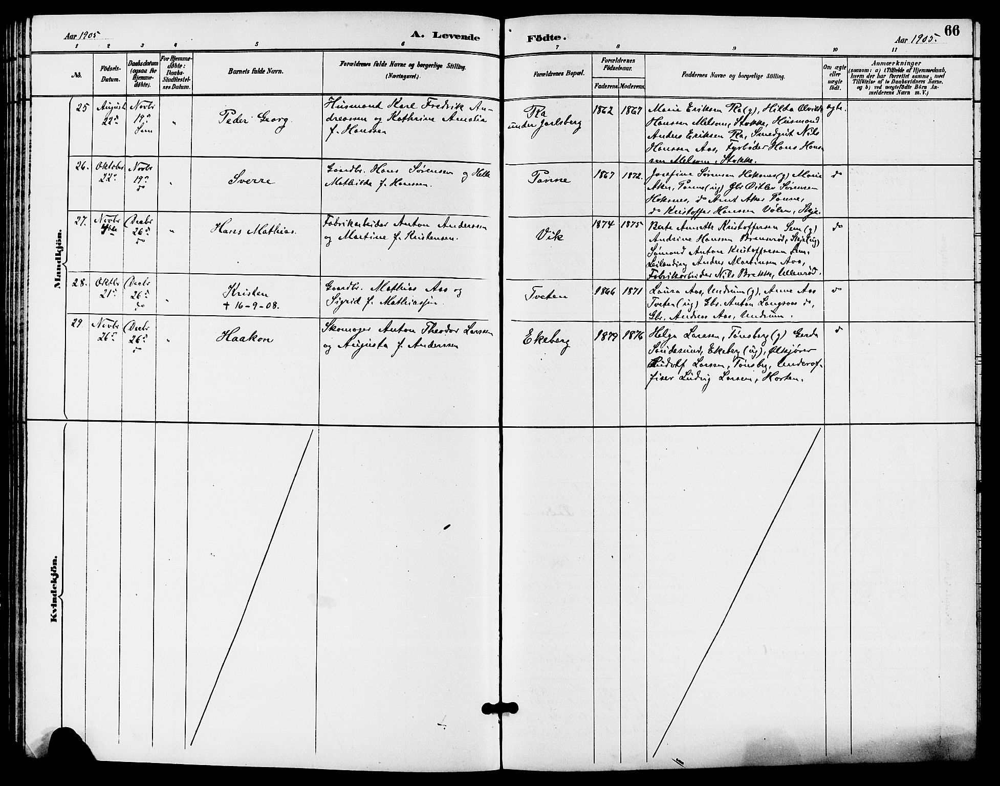 Sem kirkebøker, AV/SAKO-A-5/G/Ga/L0006: Parish register (copy) no. I 6, 1890-1908, p. 66