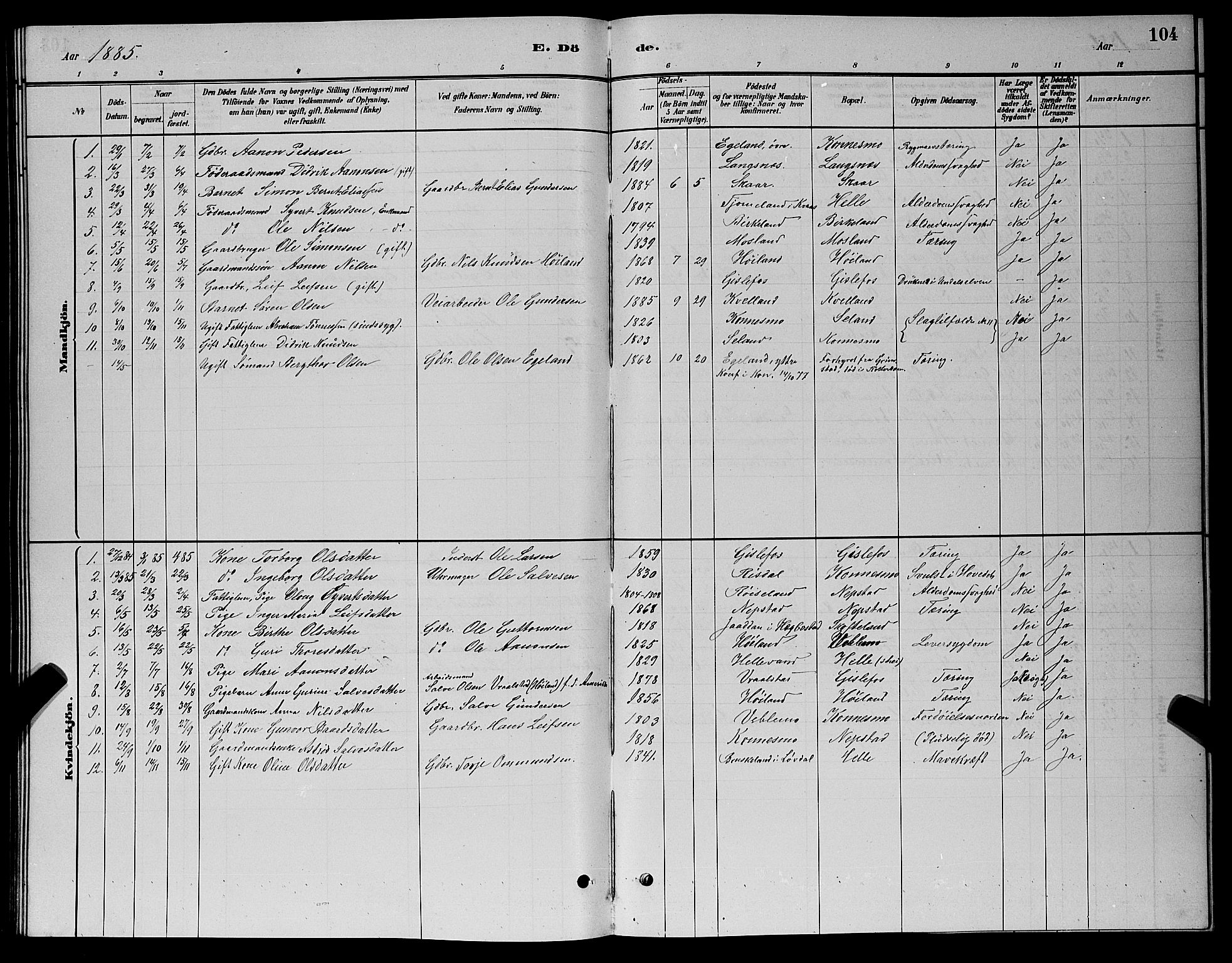 Nord-Audnedal sokneprestkontor, AV/SAK-1111-0032/F/Fb/Fba/L0003: Parish register (copy) no. B 3, 1881-1900, p. 104