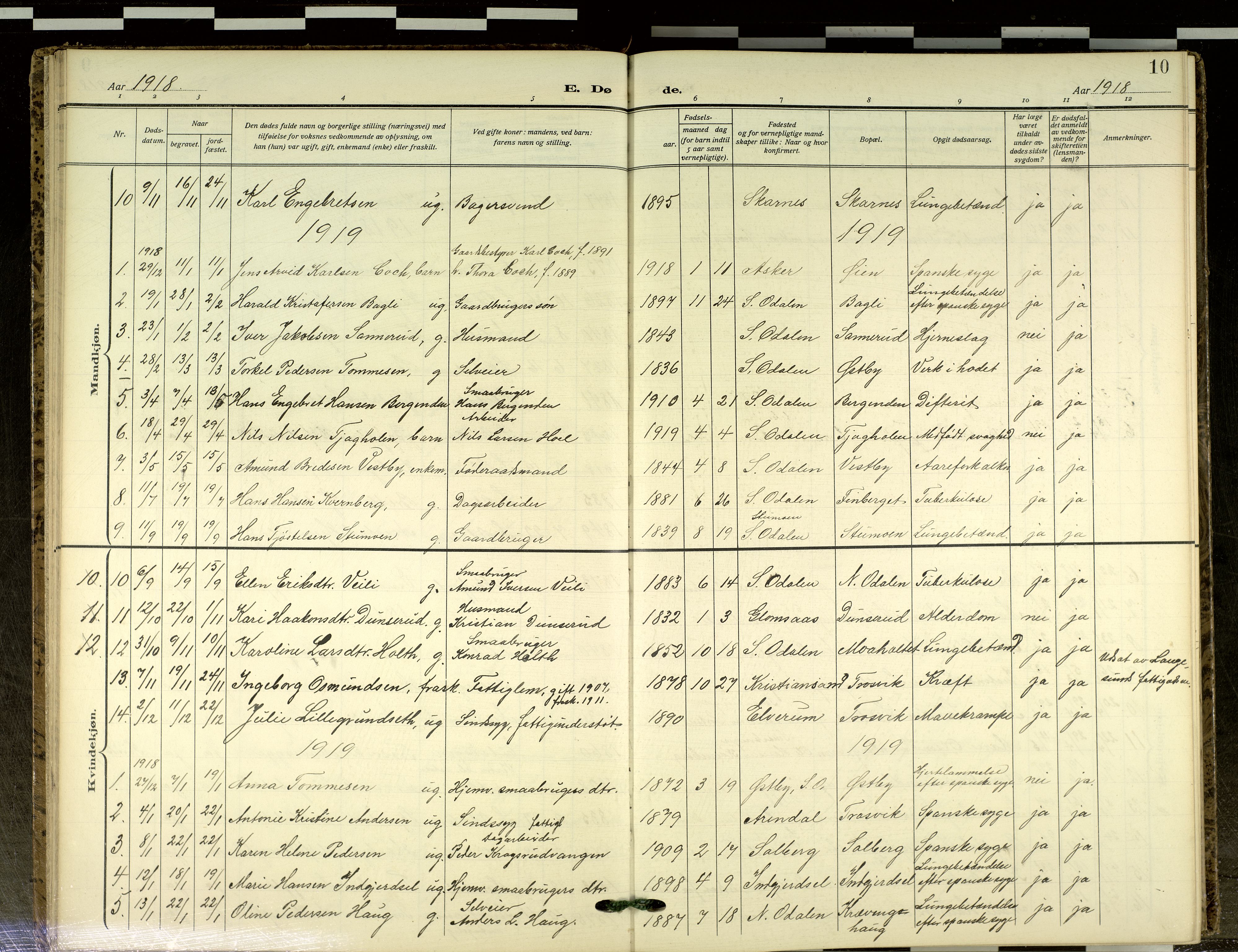 Sør-Odal prestekontor, AV/SAH-PREST-030/H/Ha/Haa/L0021: Parish register (official) no. 21, 1909-2012, p. 10