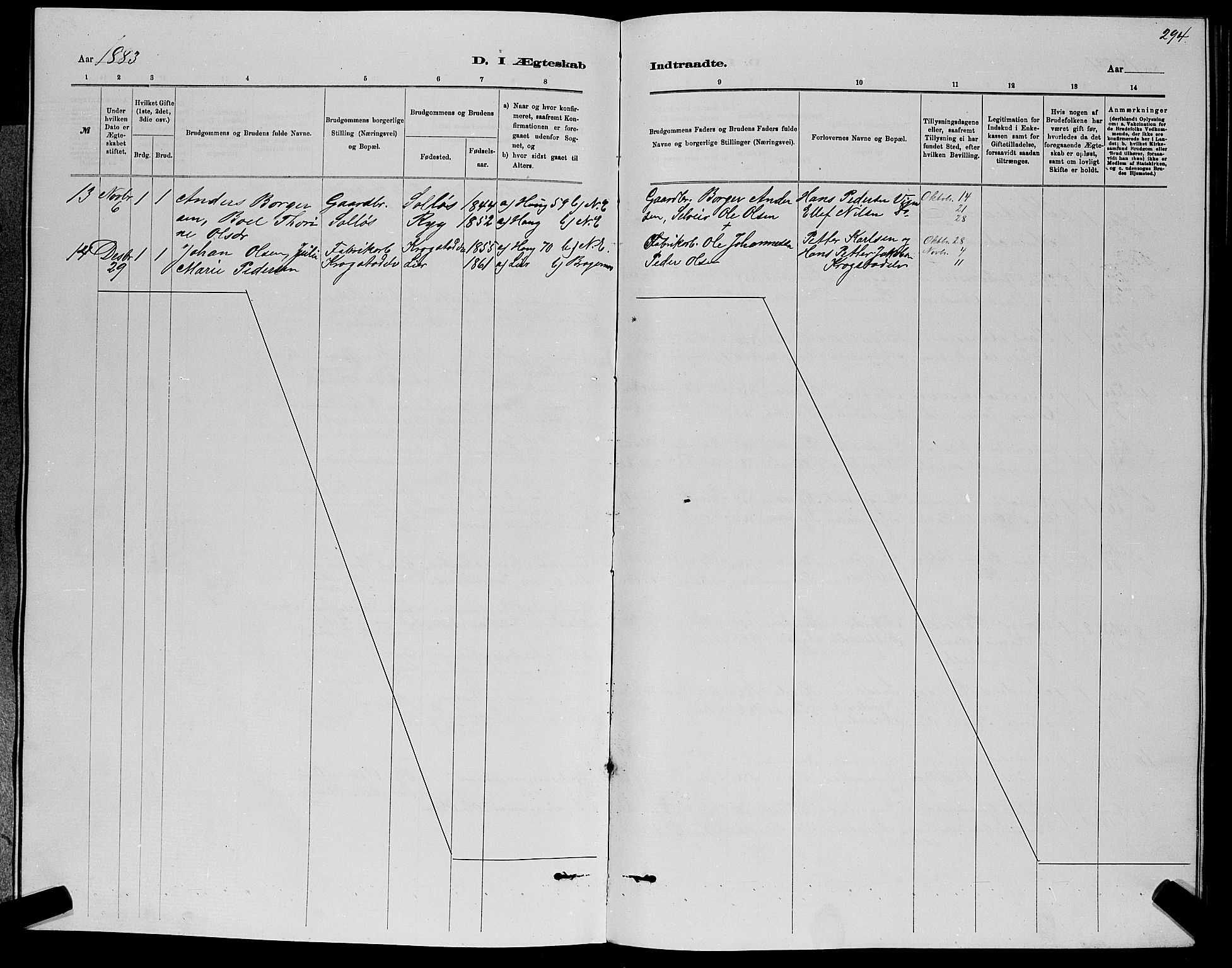 Nedre Eiker kirkebøker, AV/SAKO-A-612/G/Ga/L0002: Parish register (copy) no. 2, 1880-1896, p. 294