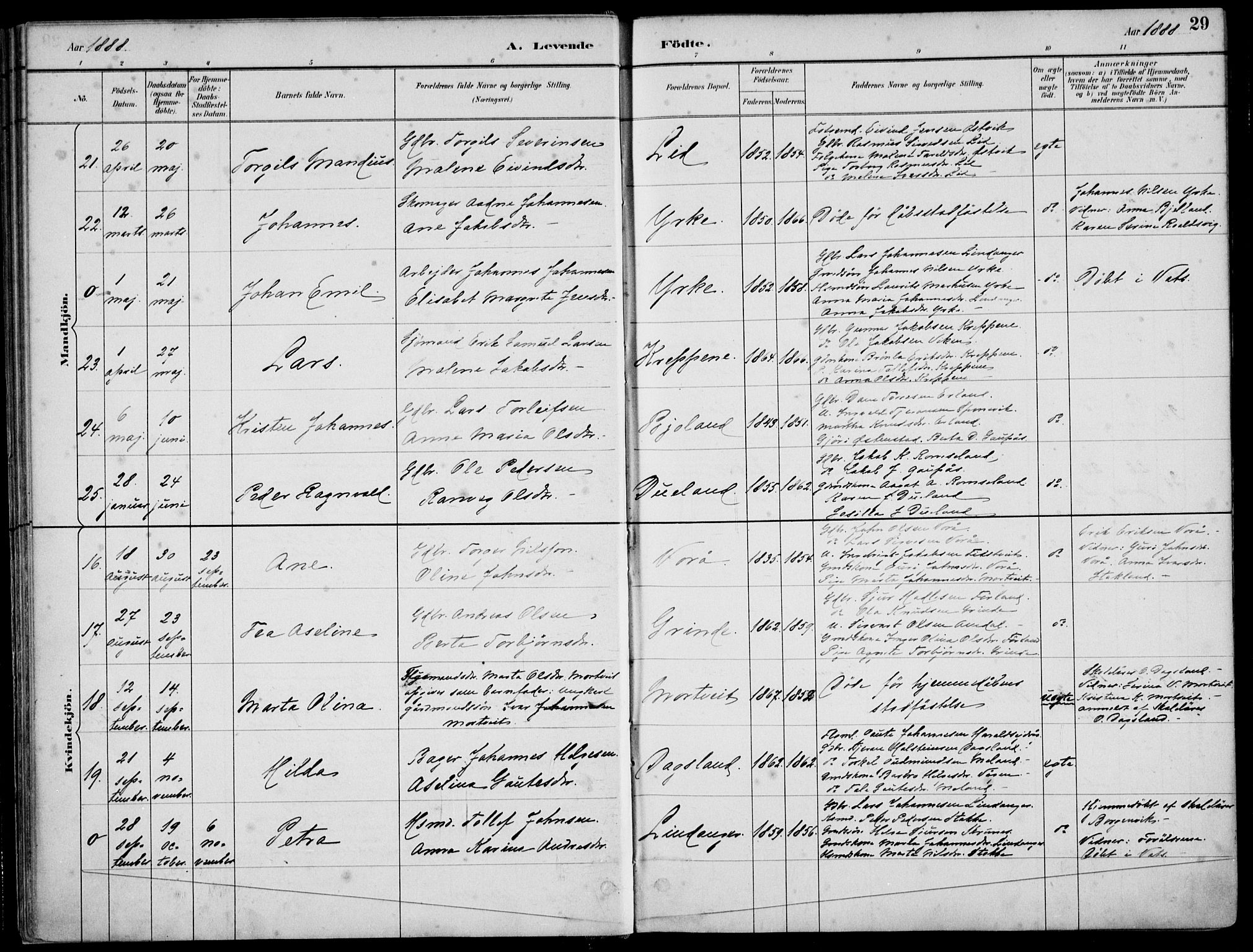 Skjold sokneprestkontor, SAST/A-101847/H/Ha/Haa/L0010: Parish register (official) no. A 10, 1882-1897, p. 29