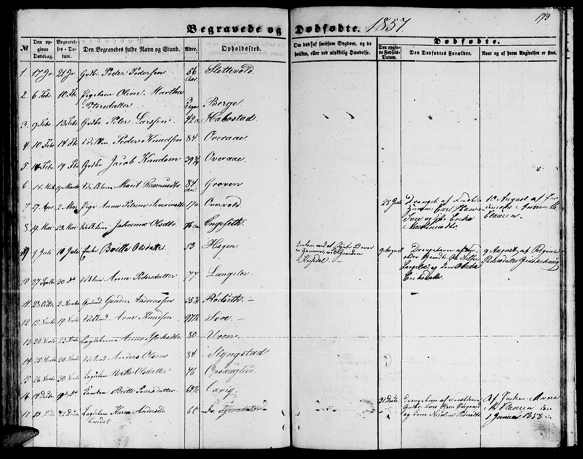 Ministerialprotokoller, klokkerbøker og fødselsregistre - Møre og Romsdal, AV/SAT-A-1454/520/L0291: Parish register (copy) no. 520C03, 1854-1881, p. 173