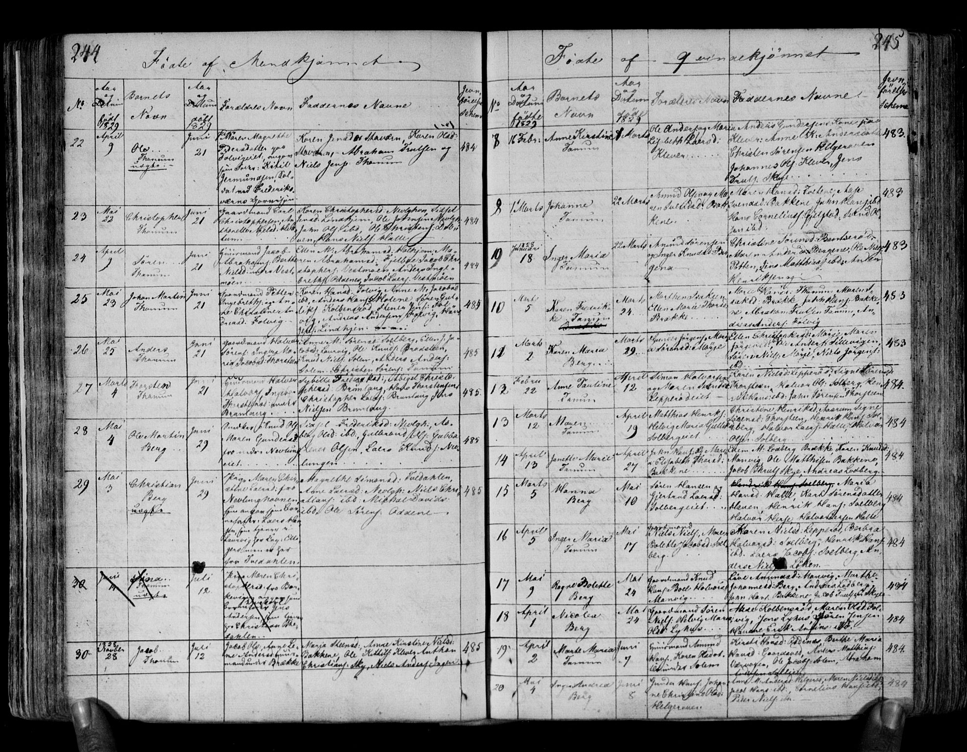 Brunlanes kirkebøker, AV/SAKO-A-342/F/Fa/L0002: Parish register (official) no. I 2, 1802-1834, p. 244-245