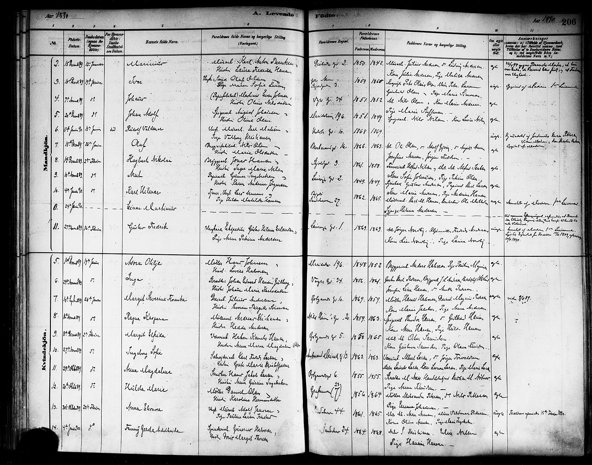 Sagene prestekontor Kirkebøker, SAO/A-10796/F/L0001: Parish register (official) no. 1, 1880-1893, p. 206