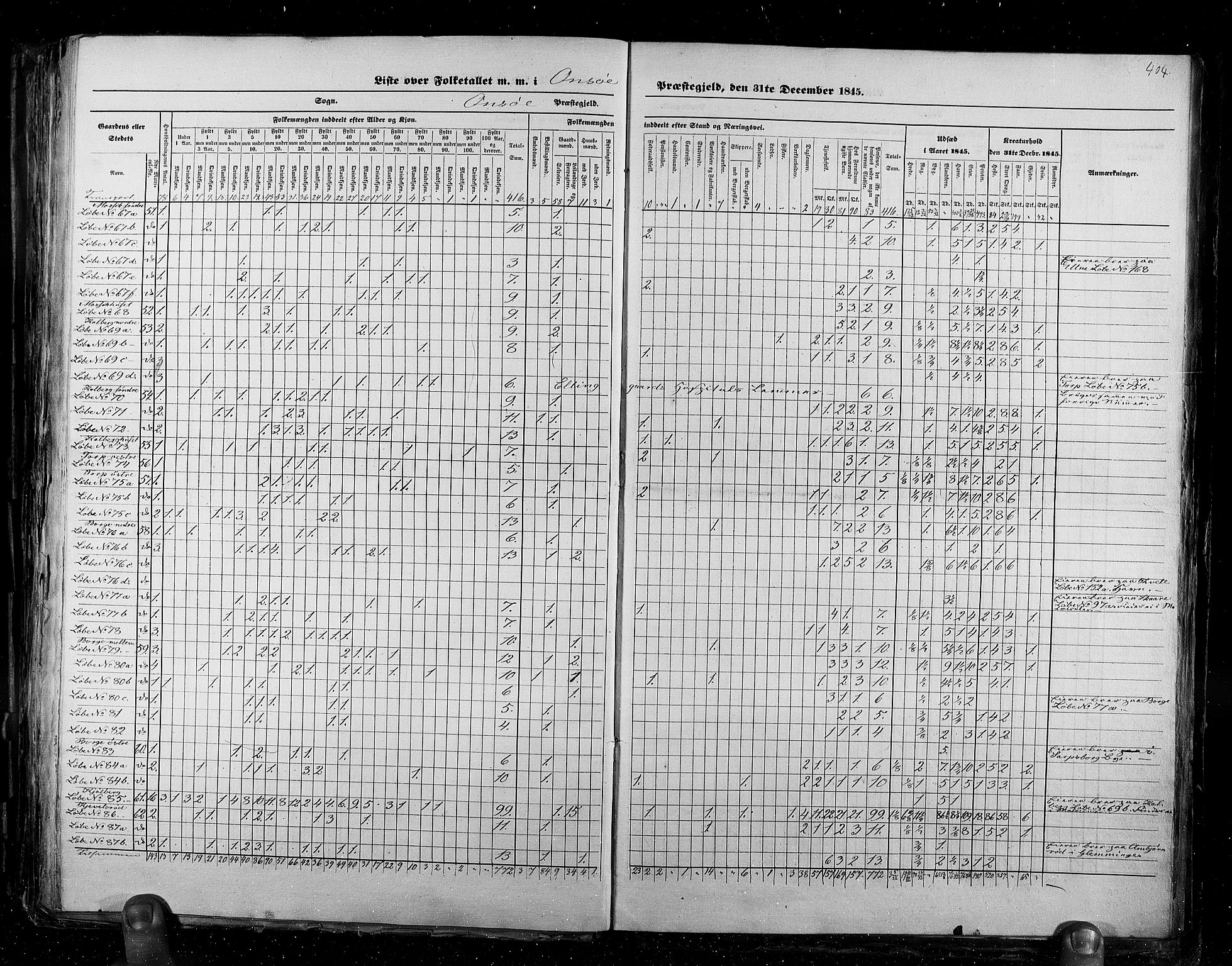 RA, Census 1845, vol. 2: Smålenenes amt og Akershus amt, 1845, p. 404