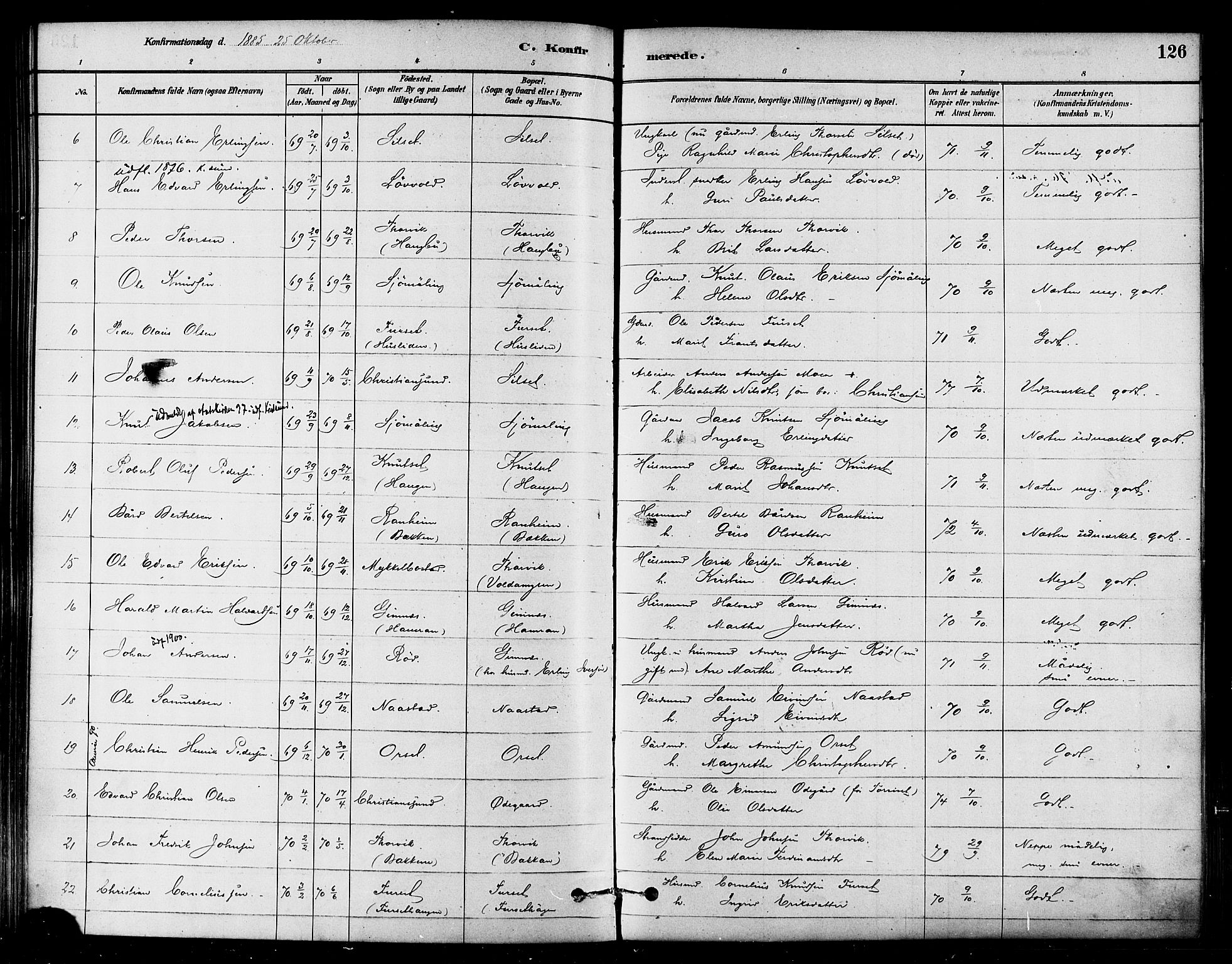 Ministerialprotokoller, klokkerbøker og fødselsregistre - Møre og Romsdal, AV/SAT-A-1454/584/L0967: Parish register (official) no. 584A07, 1879-1894, p. 126