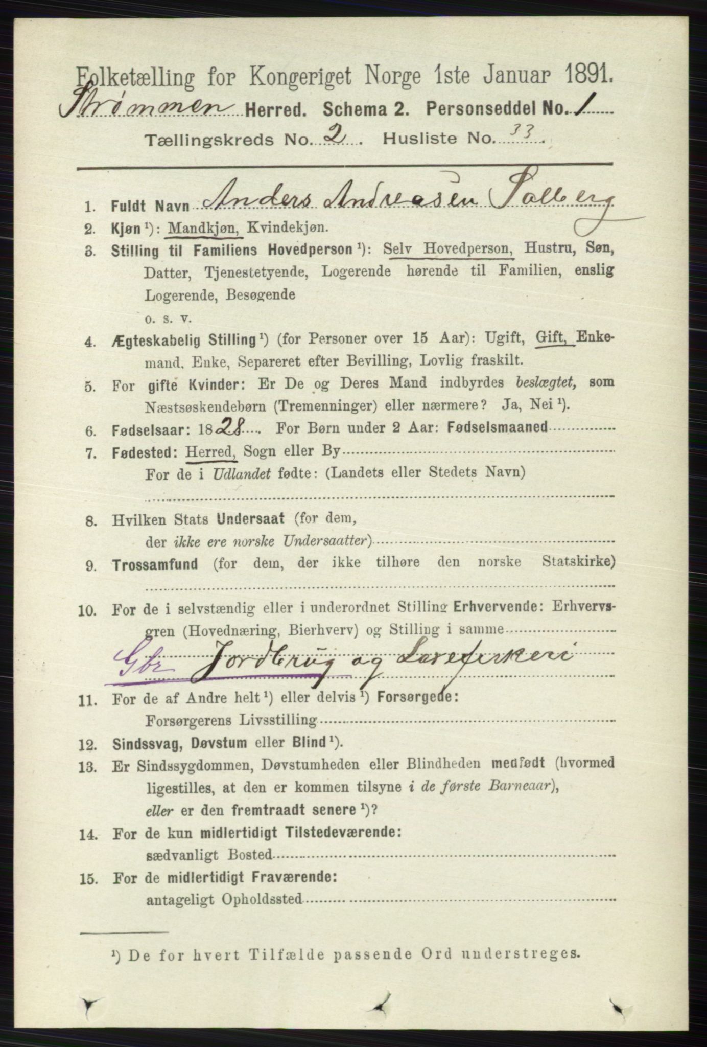 RA, 1891 census for 0711 Strømm, 1891, p. 885