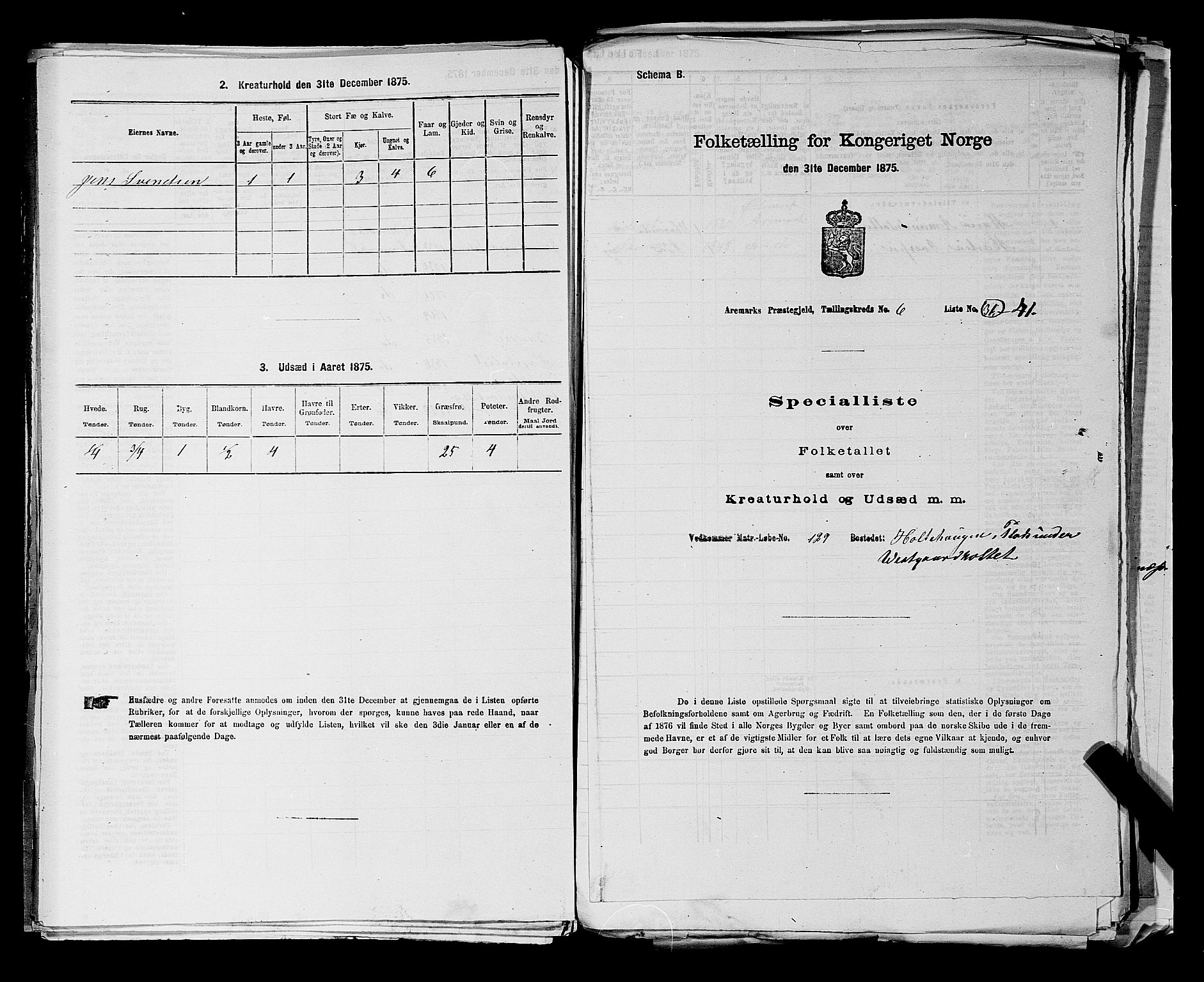 RA, 1875 census for 0118P Aremark, 1875, p. 896