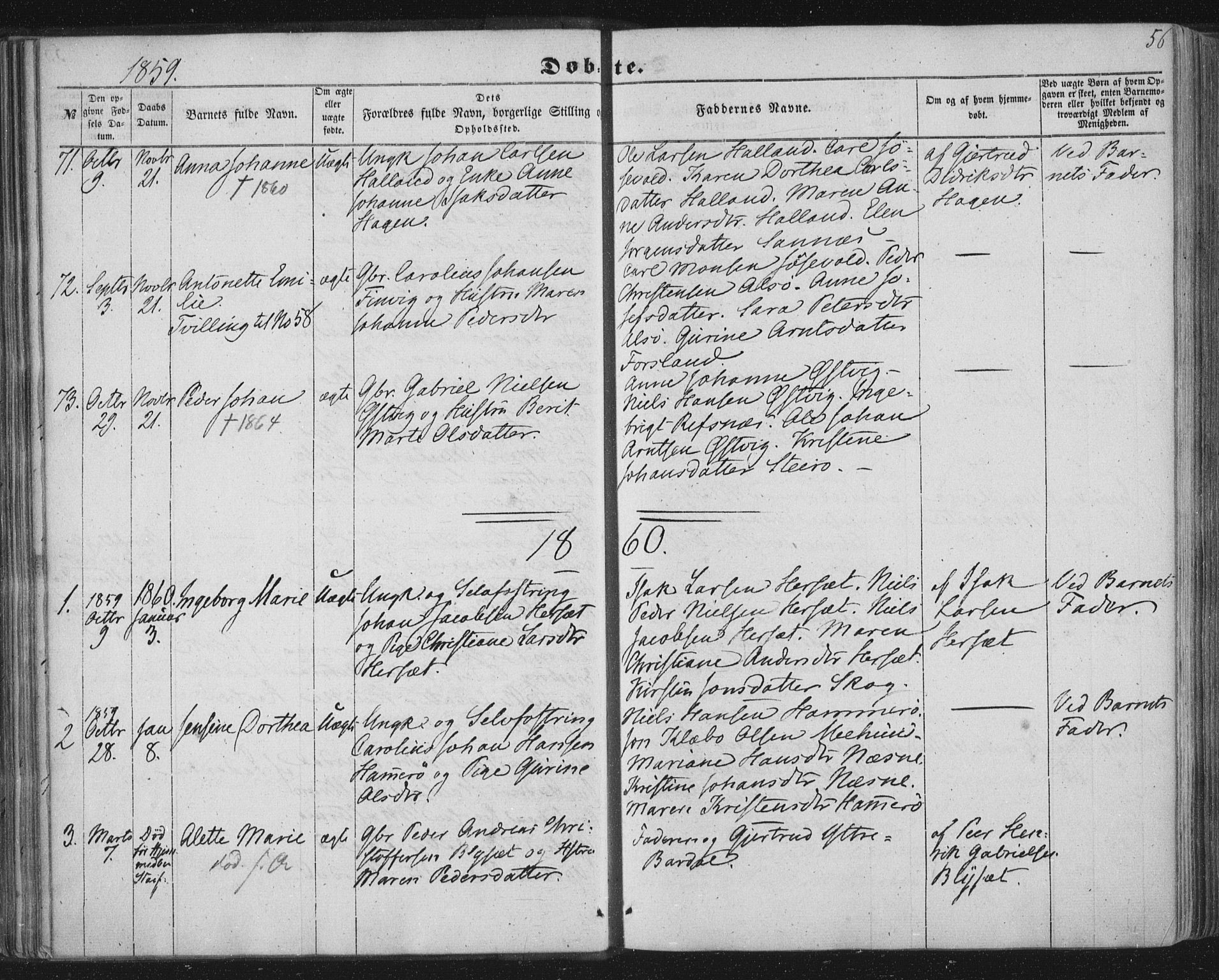 Ministerialprotokoller, klokkerbøker og fødselsregistre - Nordland, AV/SAT-A-1459/838/L0550: Parish register (official) no. 838A08, 1855-1865, p. 56