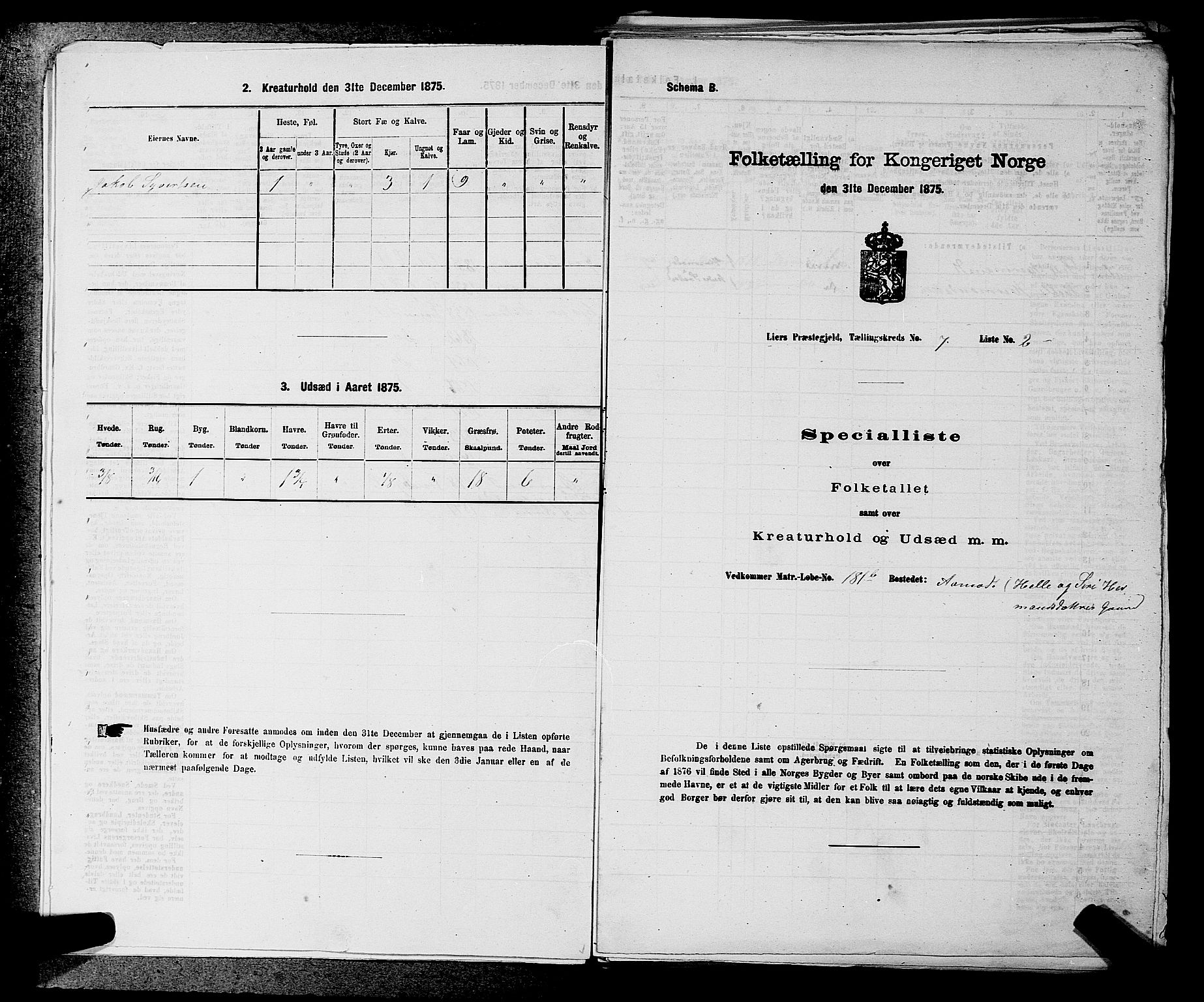 SAKO, 1875 census for 0626P Lier, 1875, p. 1096