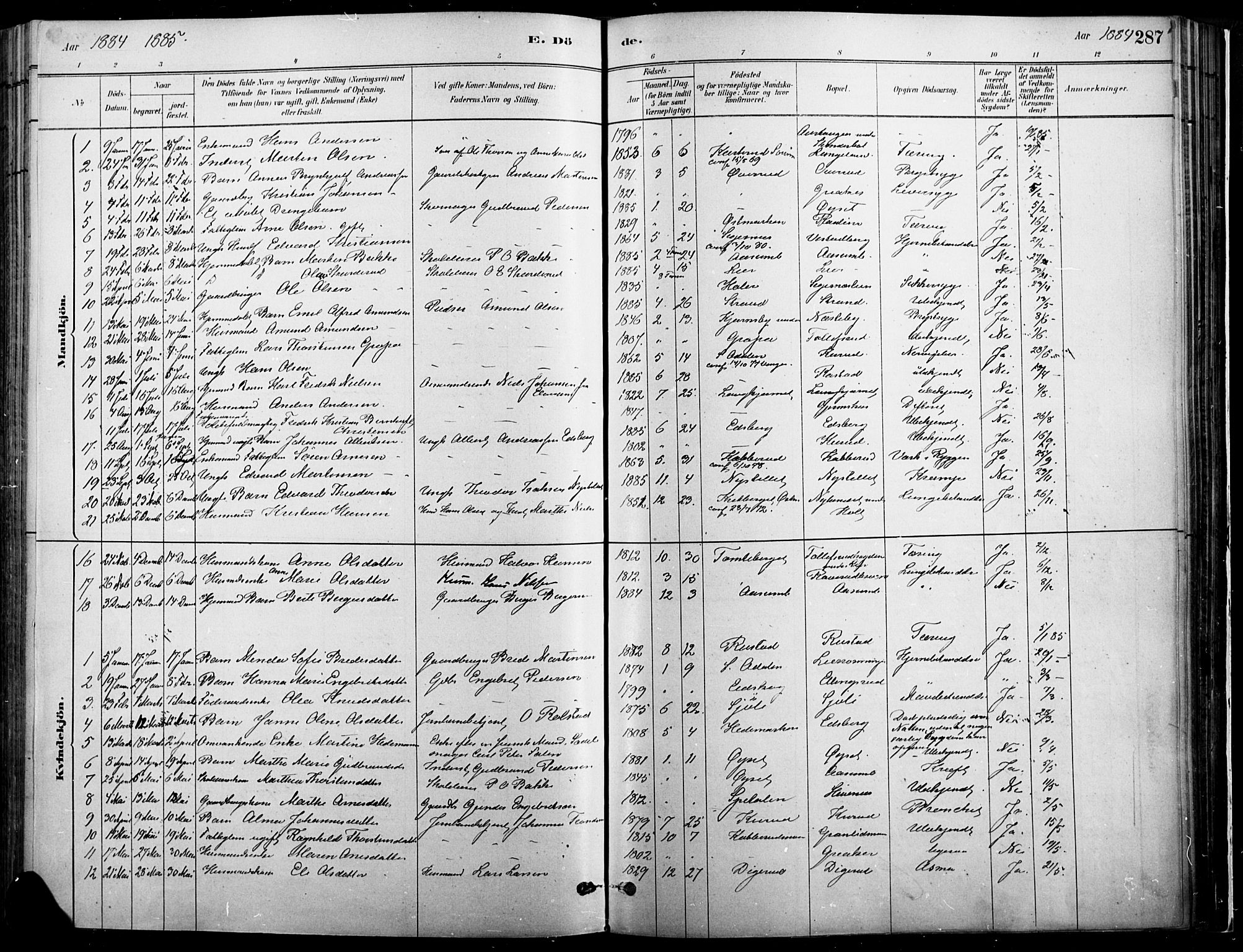 Vinger prestekontor, SAH/PREST-024/H/Ha/Haa/L0014: Parish register (official) no. 14, 1881-1900, p. 287