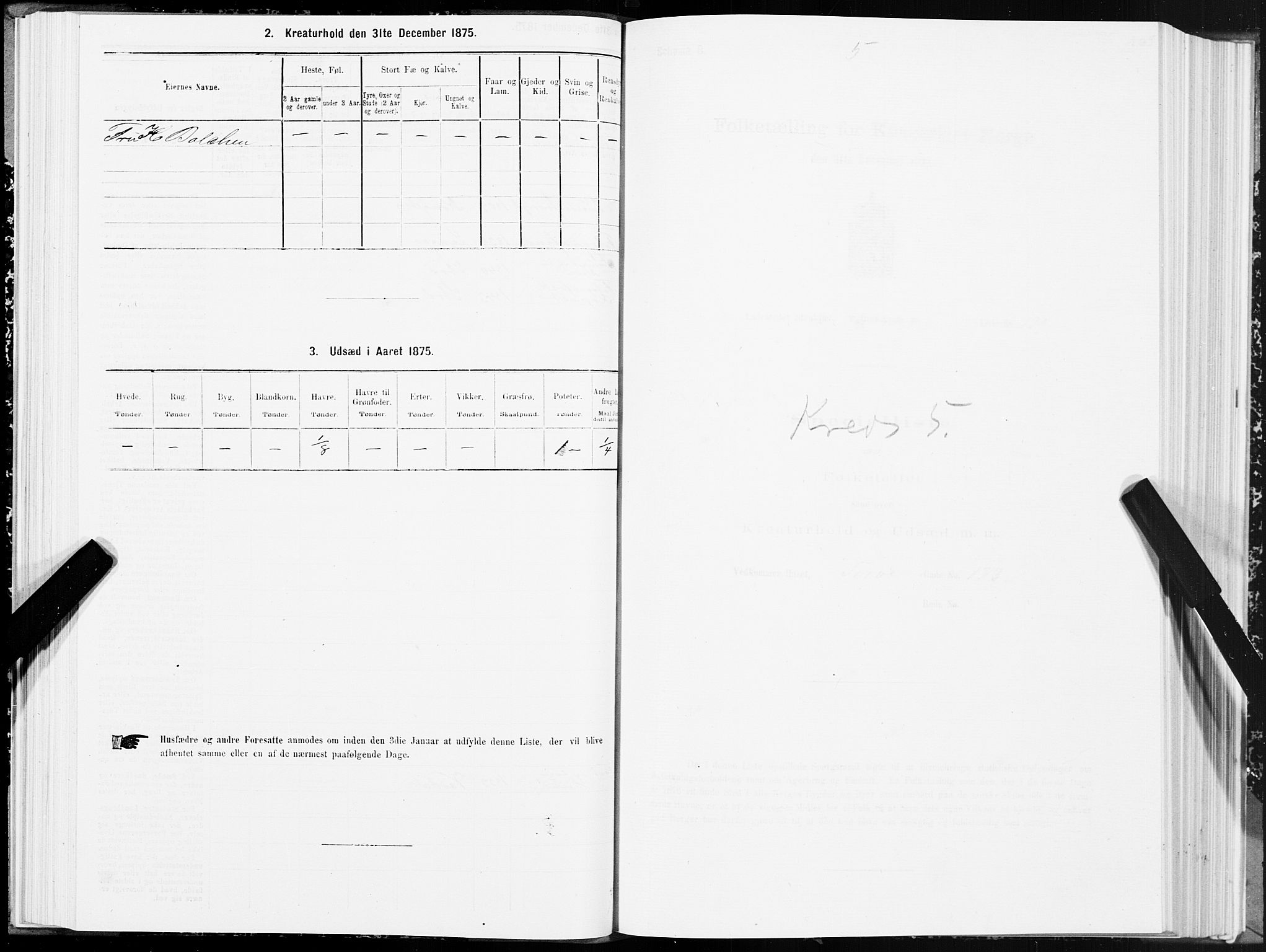 SAT, 1875 census for 1702B Steinkjer/Steinkjer, 1875