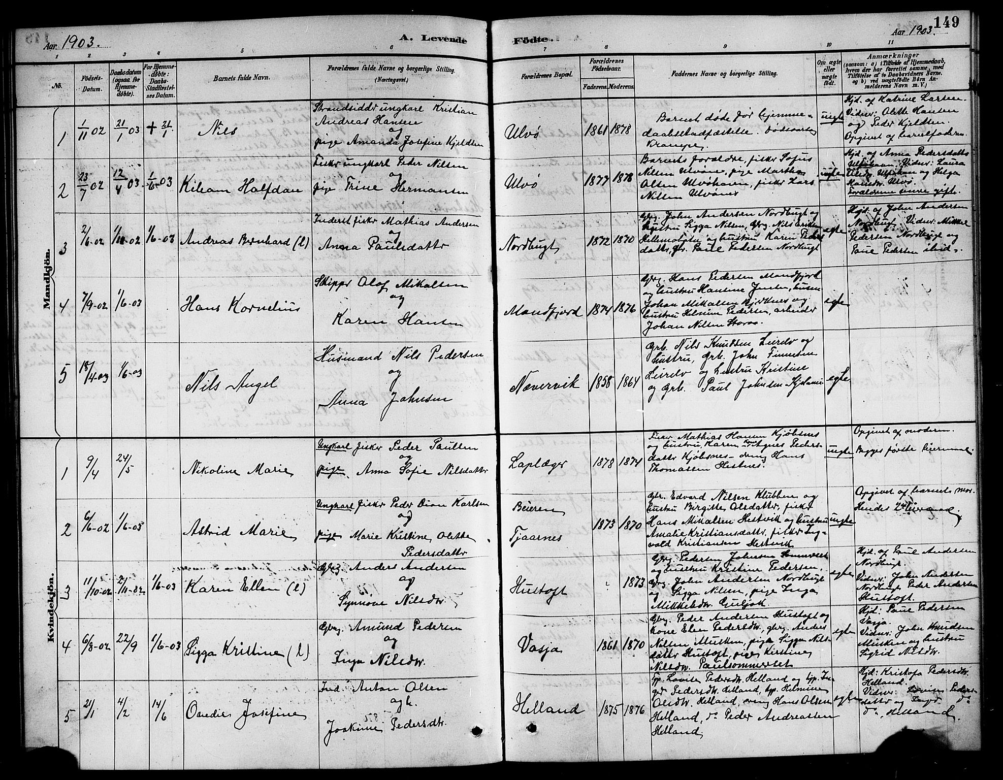 Ministerialprotokoller, klokkerbøker og fødselsregistre - Nordland, AV/SAT-A-1459/861/L0876: Parish register (copy) no. 861C02, 1887-1903, p. 149