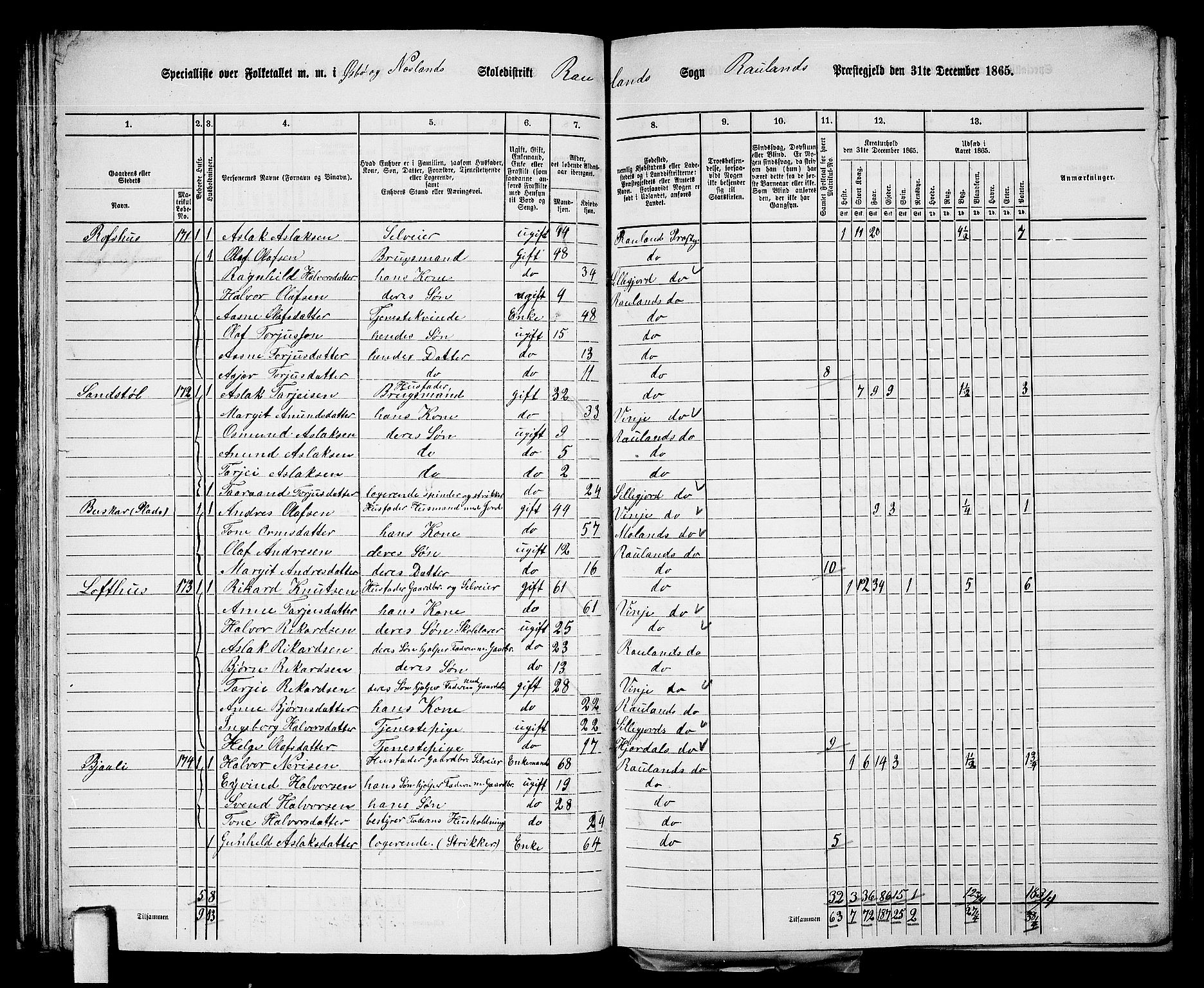 RA, 1865 census for Rauland, 1865, p. 44