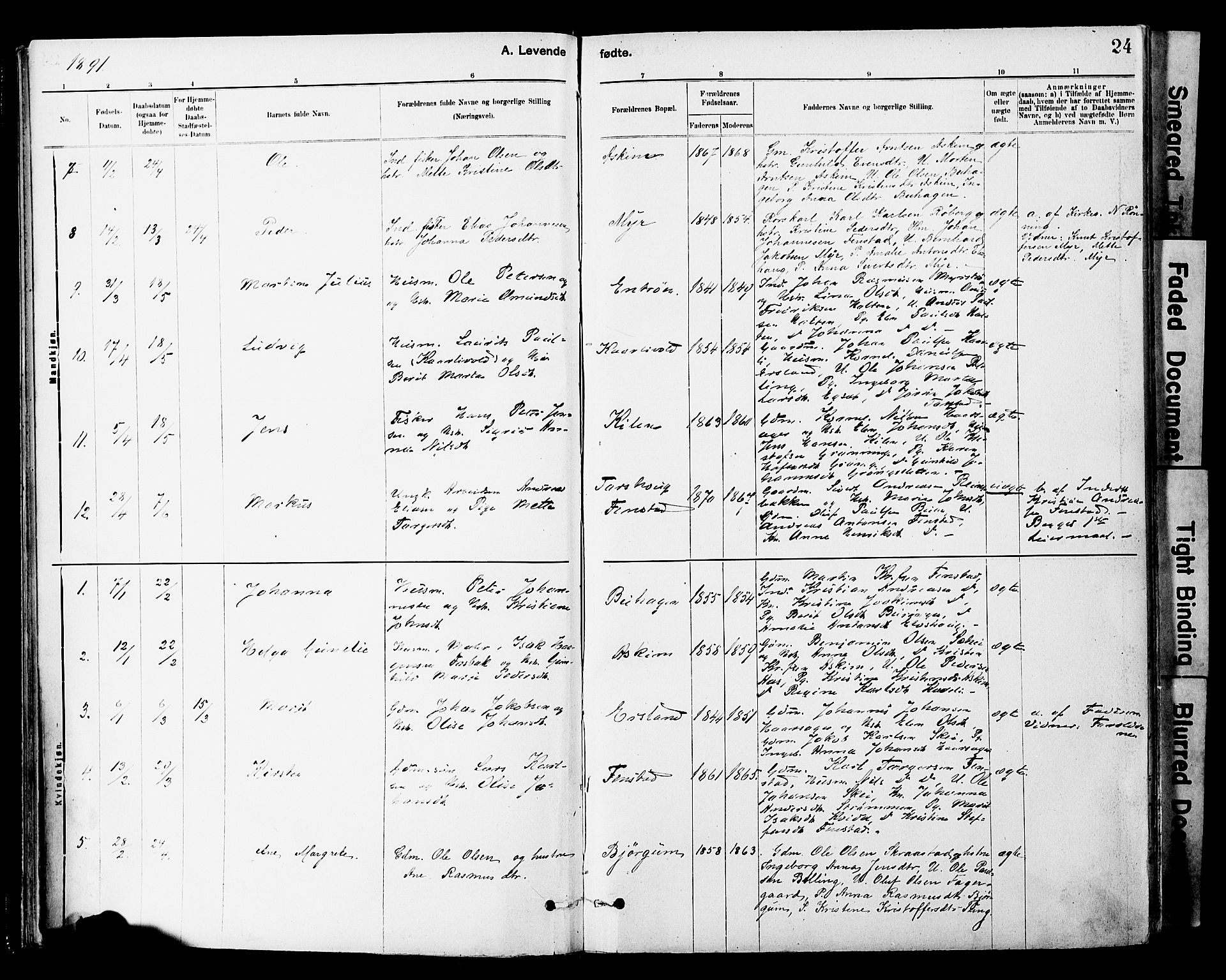 Ministerialprotokoller, klokkerbøker og fødselsregistre - Sør-Trøndelag, AV/SAT-A-1456/646/L0615: Parish register (official) no. 646A13, 1885-1900, p. 24