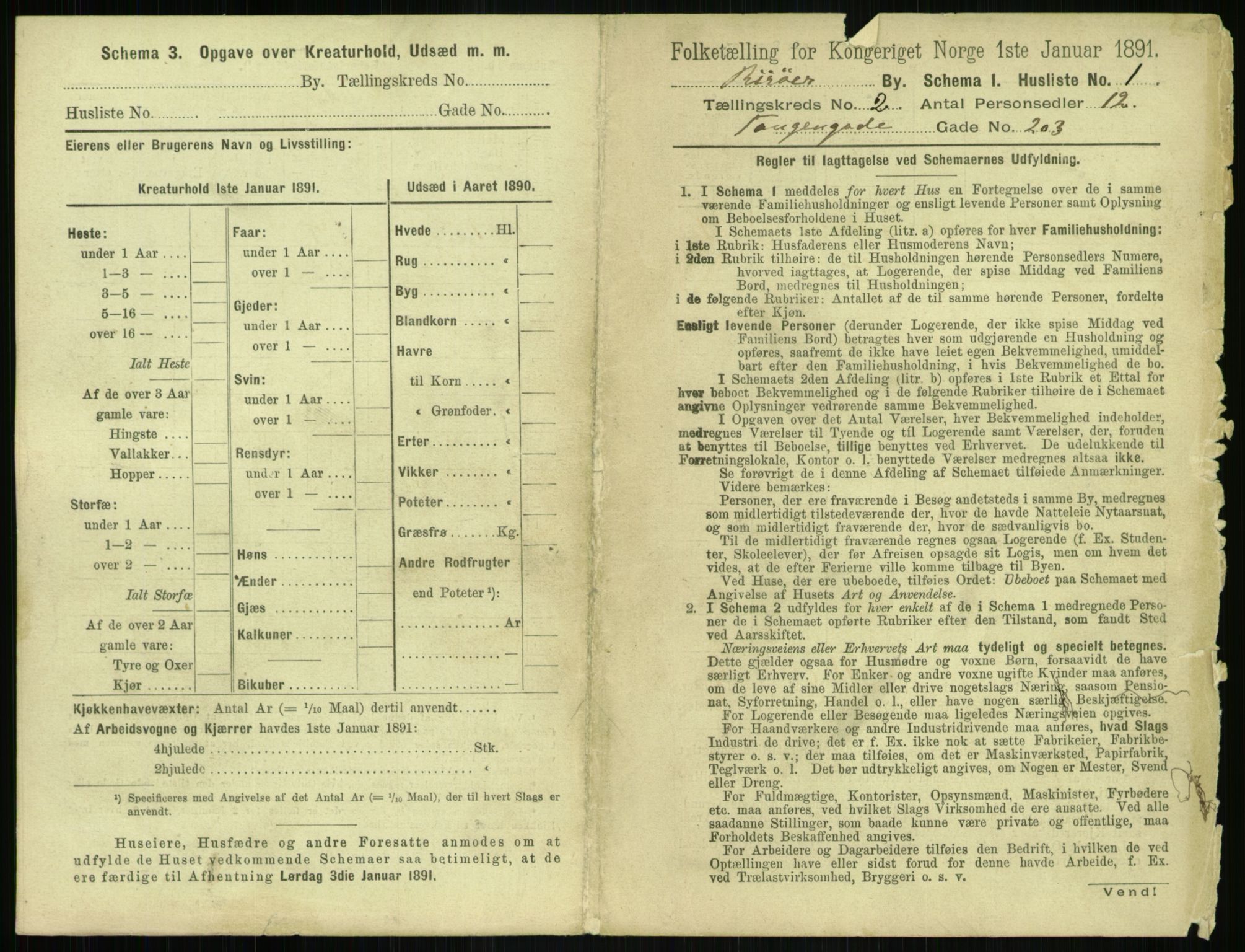 RA, 1891 census for 0901 Risør, 1891, p. 311
