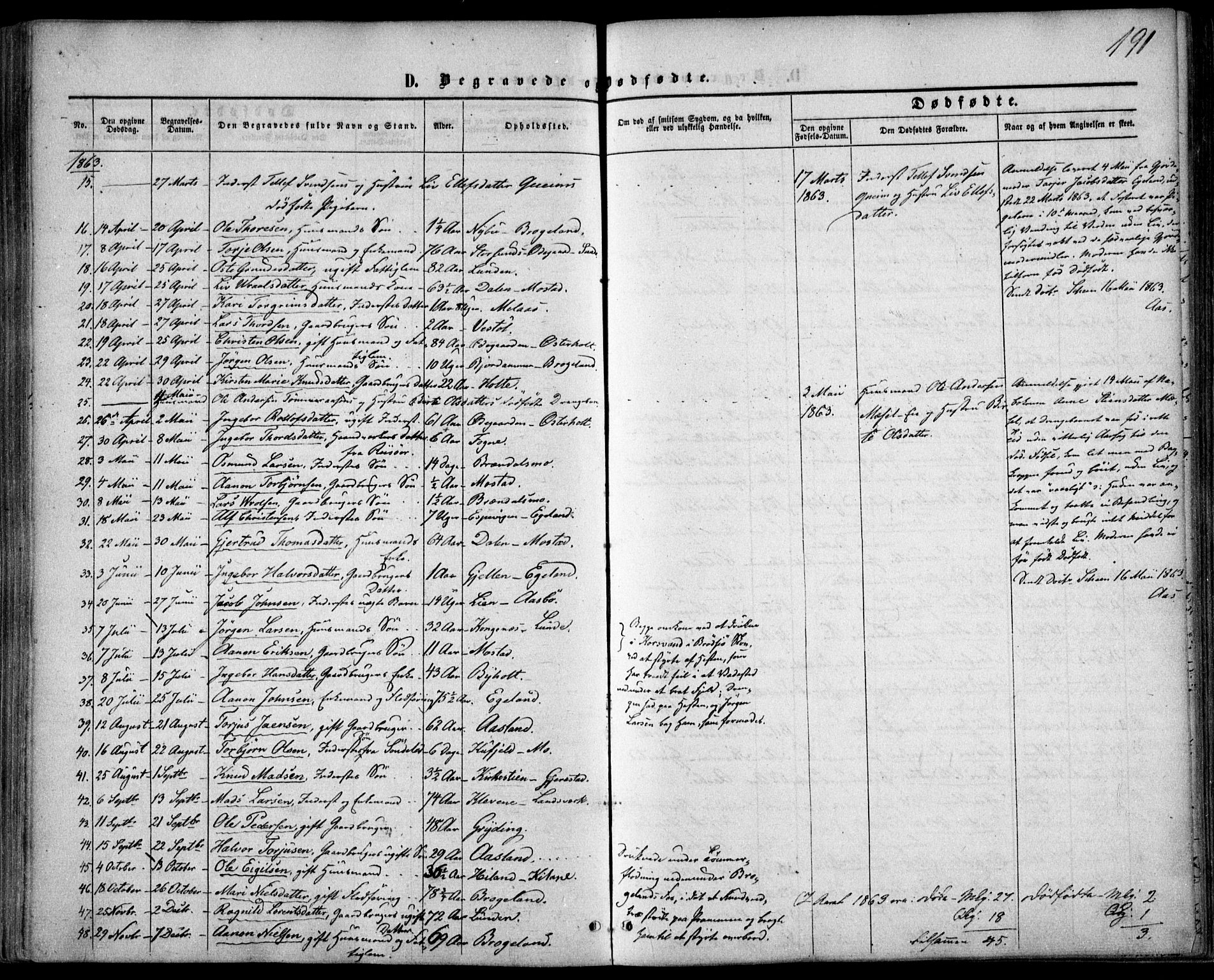 Gjerstad sokneprestkontor, AV/SAK-1111-0014/F/Fa/Faa/L0007: Parish register (official) no. A 7, 1858-1875, p. 191