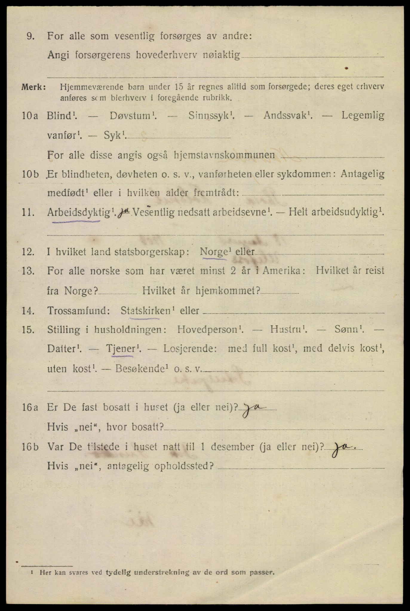 SAKO, 1920 census for Notodden, 1920, p. 8319