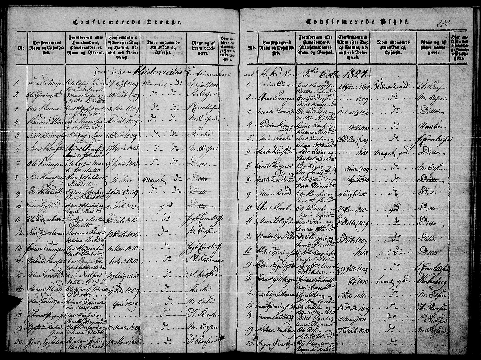 Toten prestekontor, SAH/PREST-102/H/Ha/Haa/L0010: Parish register (official) no. 10, 1820-1828, p. 253